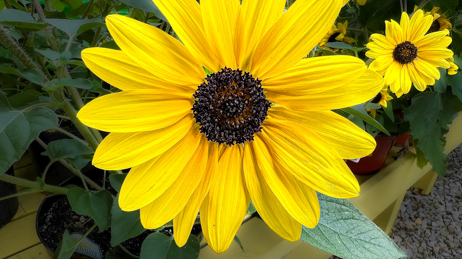 8/9/22-⁨Utica⁩, ⁨Ohio⁩, ⁨United States⁩