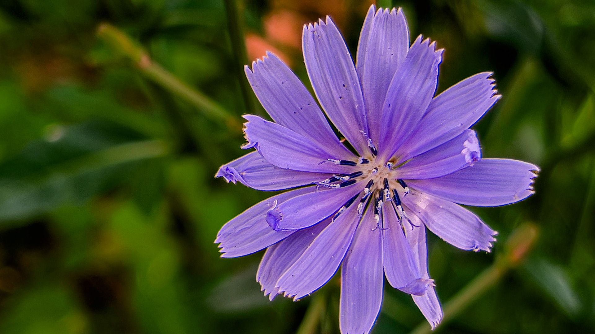 6/10/24-Harrison West,  Columbus Ohio