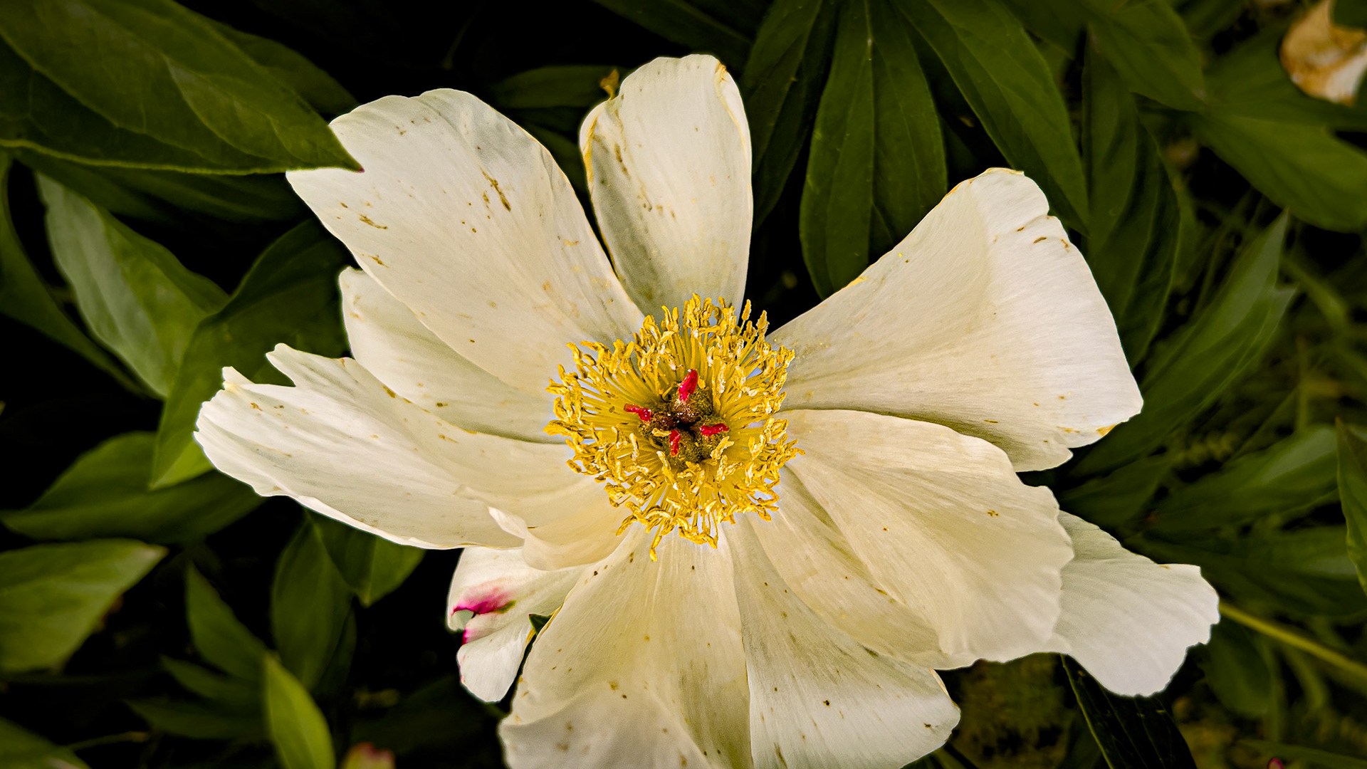 5/17/24-Harrison West-⁨Columbus⁩, ⁨Ohio⁩, ⁨United States⁩