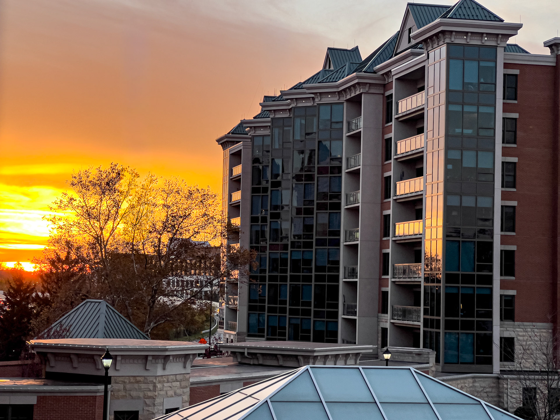 11/19/21 5:08:49 PM