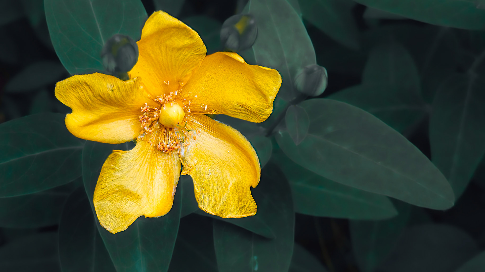 6/17/21-⁨Dover⁩, ⁨Susquehanna Valley⁩, ⁨United States⁩