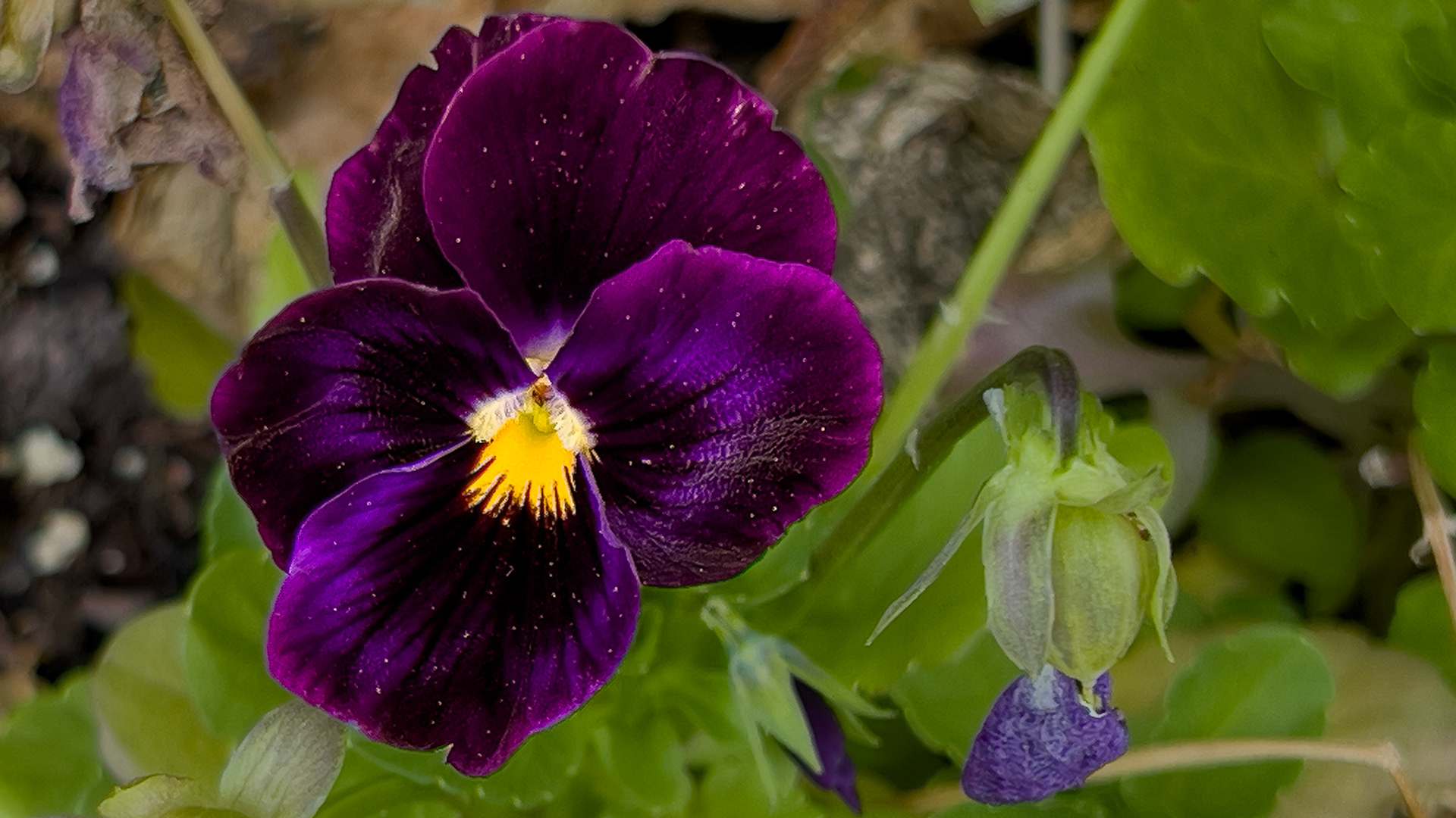 5/23/25-⁨Logan⁩, ⁨Ohio⁩, ⁨United States⁩