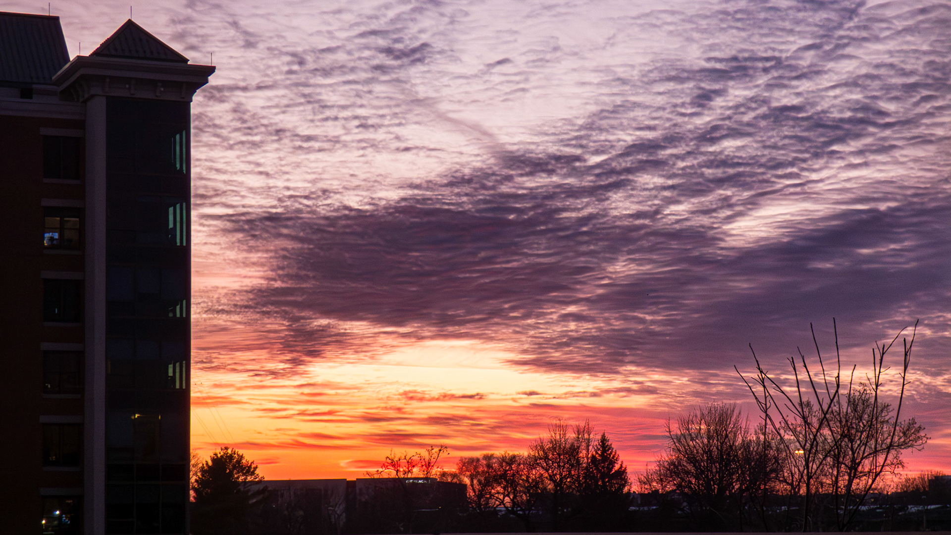 2/22/25 7:33:28 PM