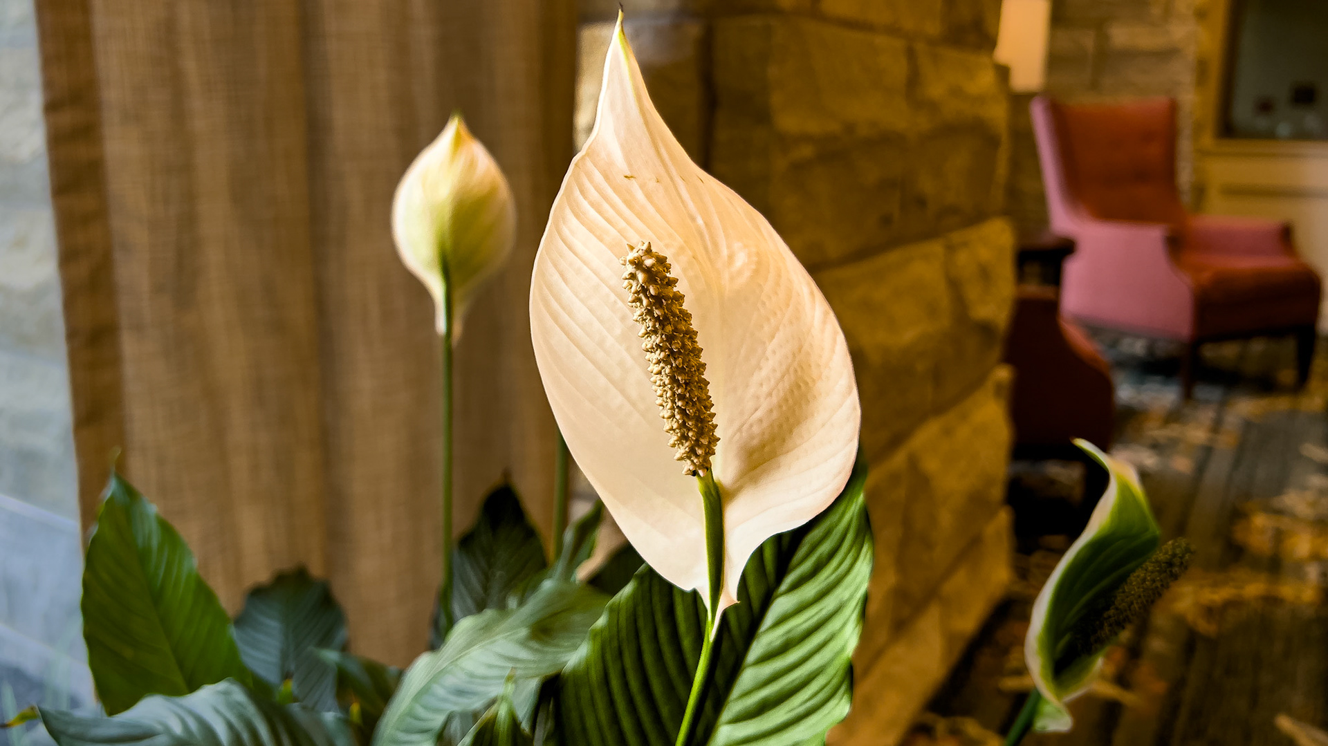 8/2/24 @ Ohio Living Westminster Thurber,  Columbus Oh