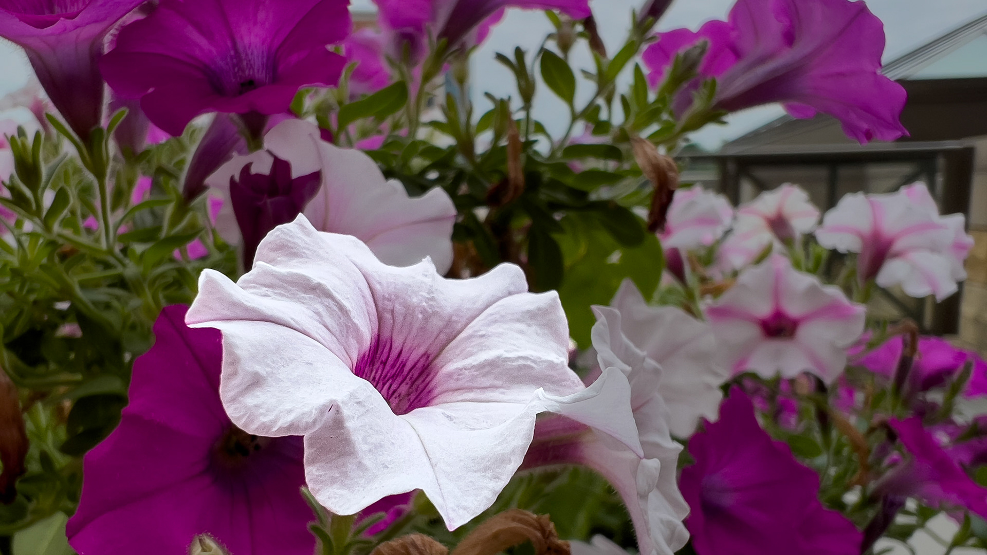 8/7/24-Harrison West, Columbus