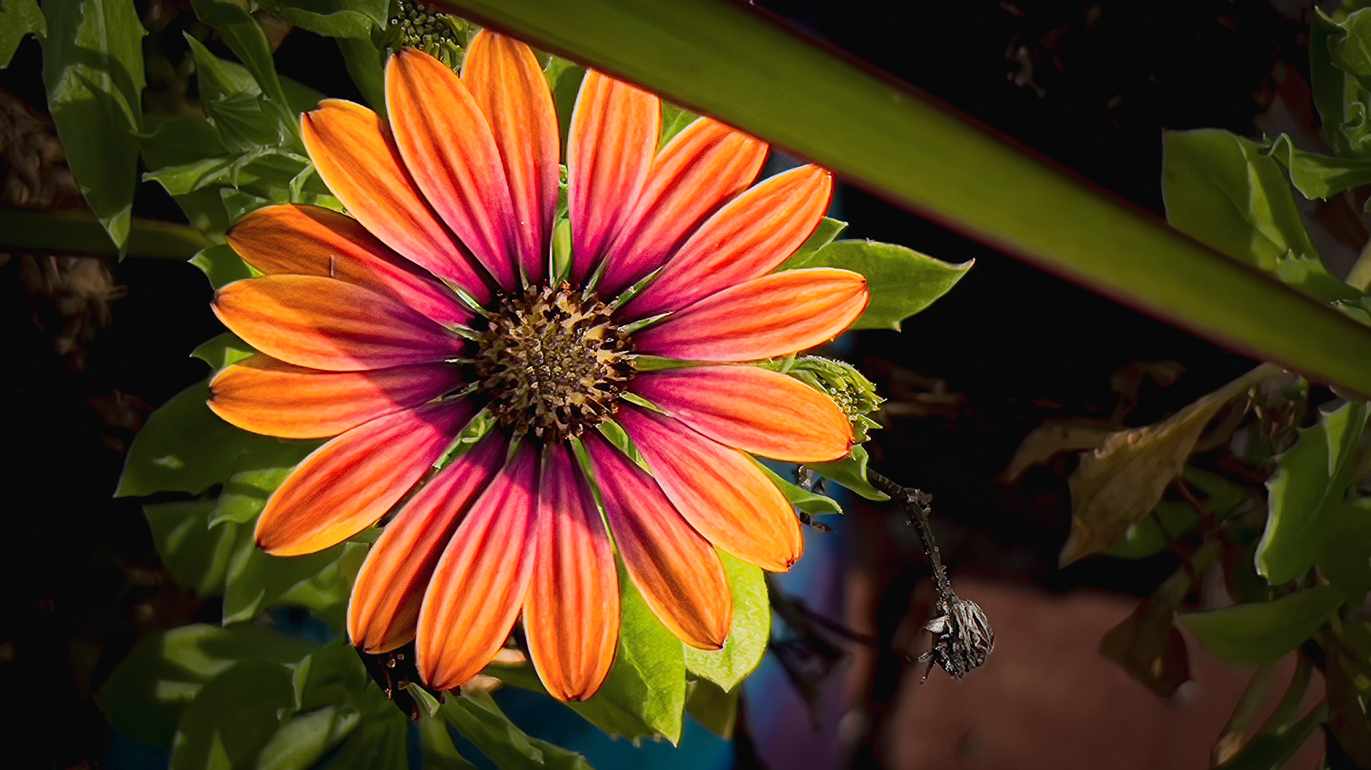 9/16/22-⁨Dawes Arboretum-Heath⁩, ⁨Ohio⁩, ⁨United States⁩