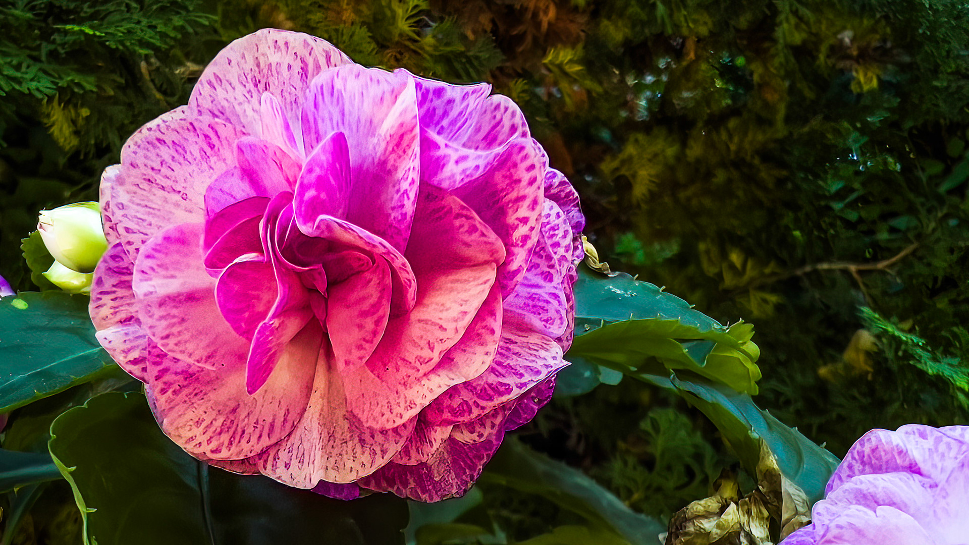 10/8/22-⁨Harrison West-⁨Columbus⁩, ⁨Ohio⁩, ⁨United States⁩