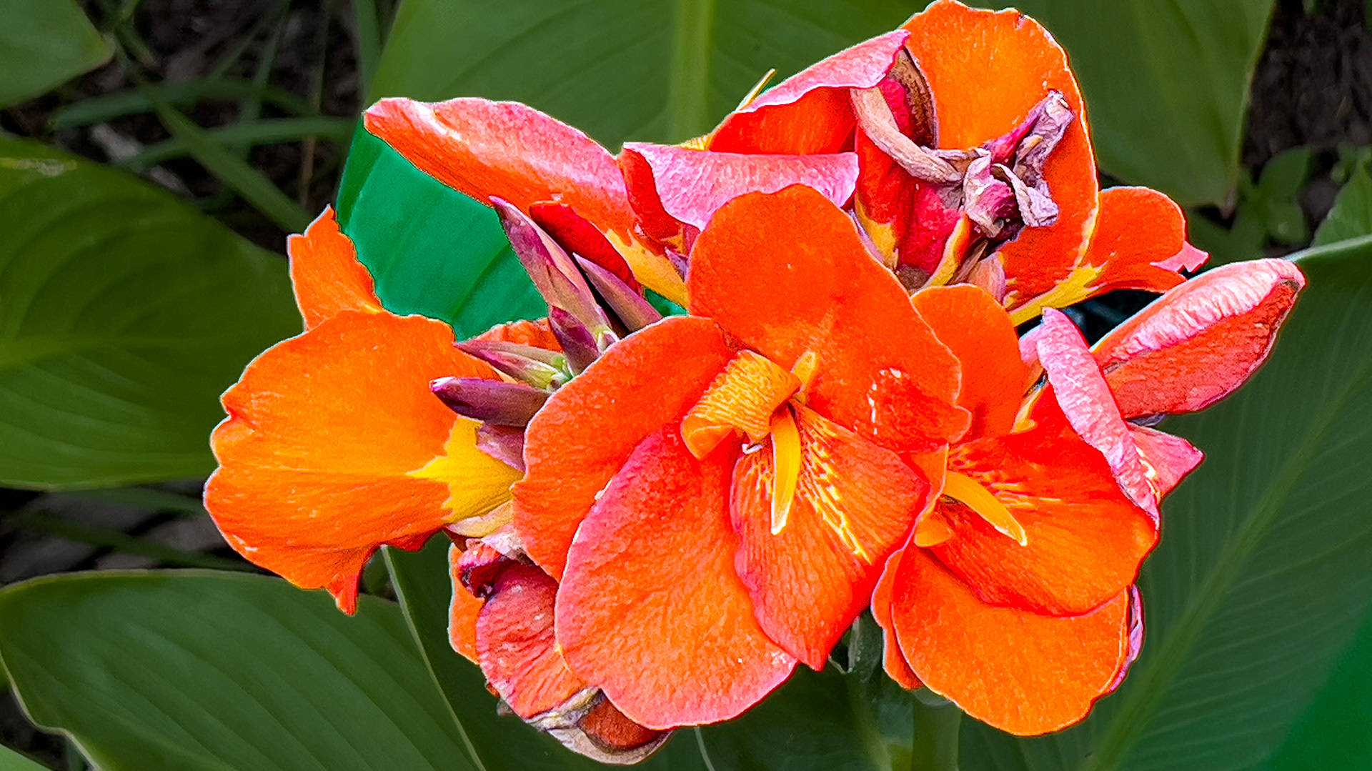 20250709-⁨Goodale Park⁩, ⁨Columbus⁩, ⁨Ohio⁩