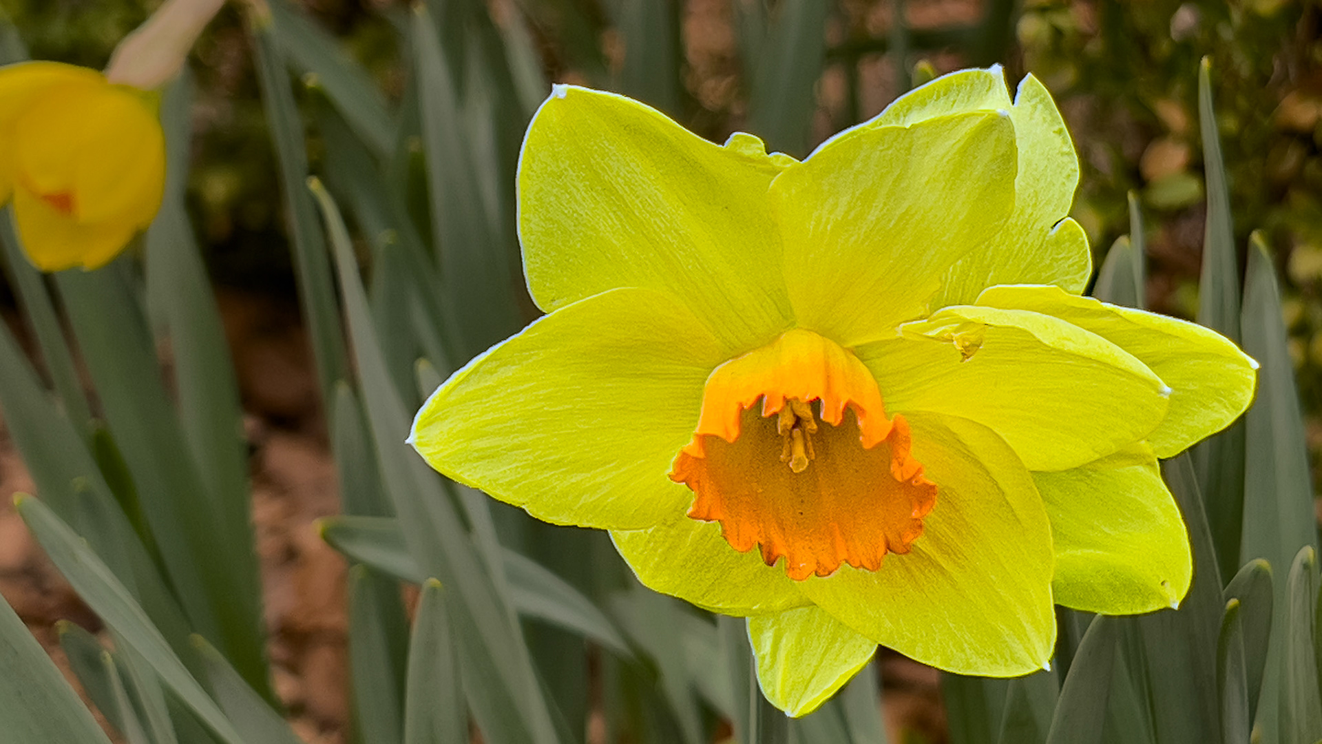 20250322- @ Victorian Village,  Columbus Ohio