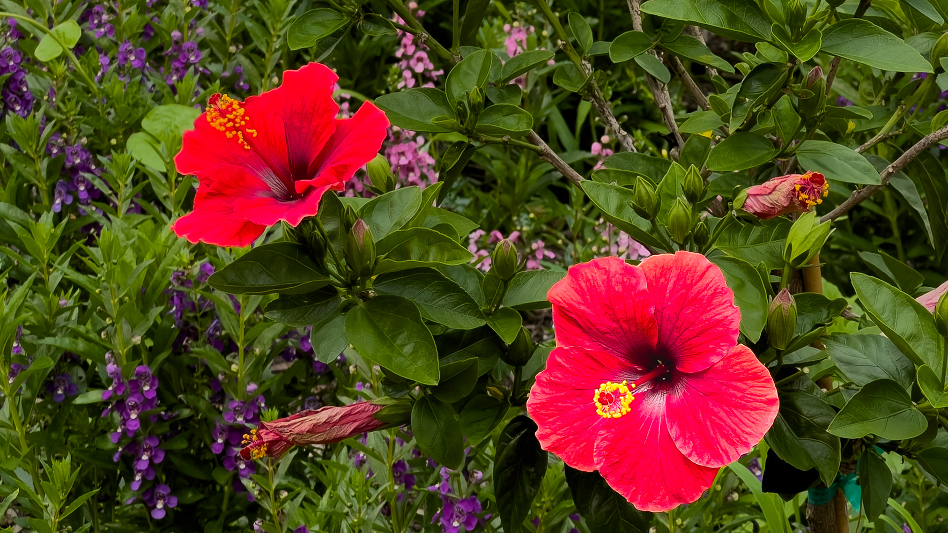 20250709-⁨Goodale Park⁩, ⁨Columbus⁩, ⁨Ohio⁩