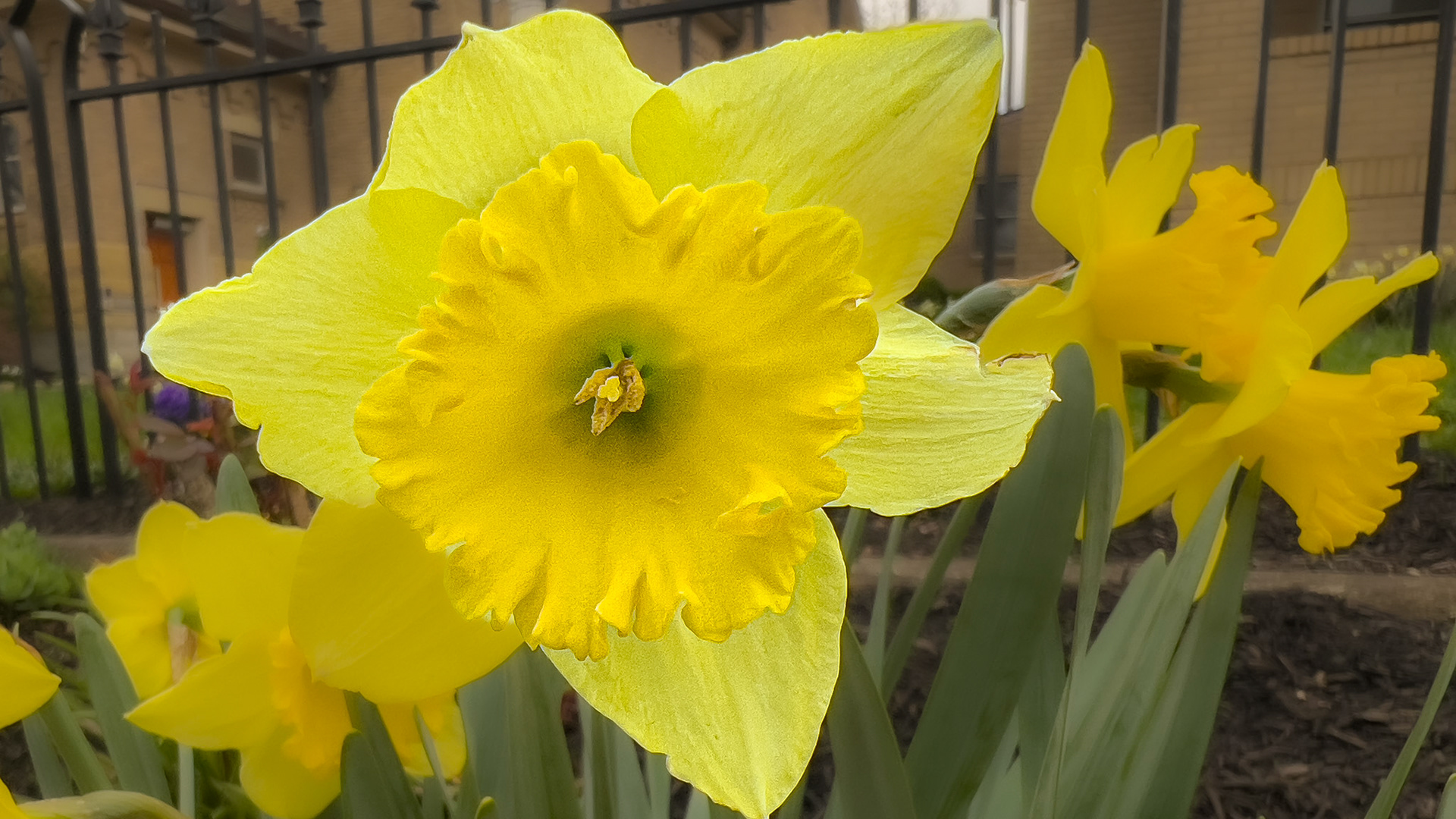 20250331-@ Victorian Village,  Columbus Ohio