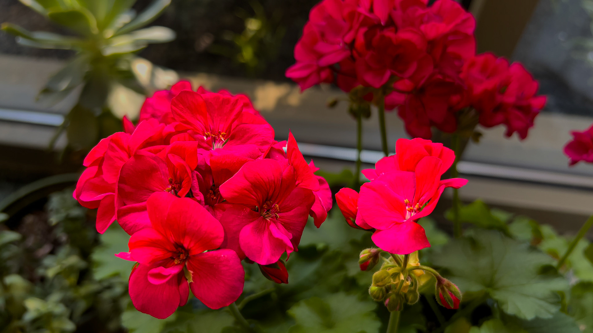 20250603 - Ohio Living Westminster Thurber,  Columbus Oh