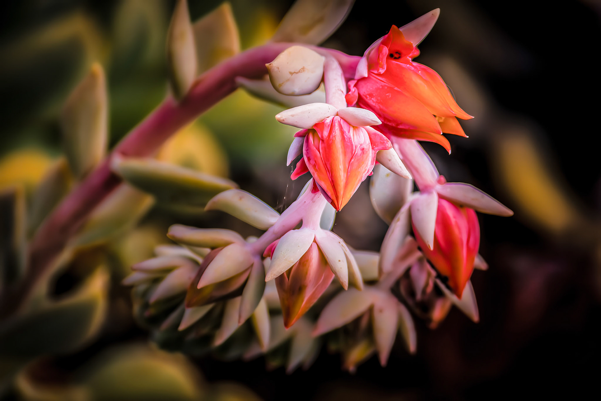 10/4/16-⁨Scioto Audubon Metro Park⁩, ⁨Columbus⁩, ⁨Ohio⁩, ⁨United States⁩