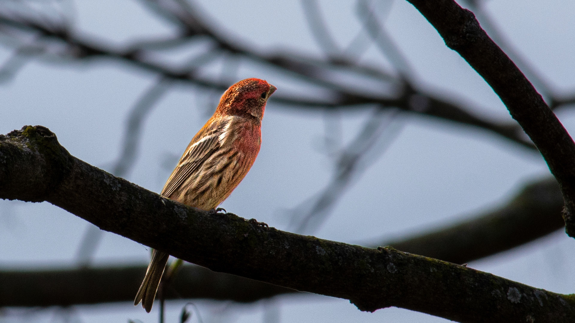 20180502-RAB_1664PM