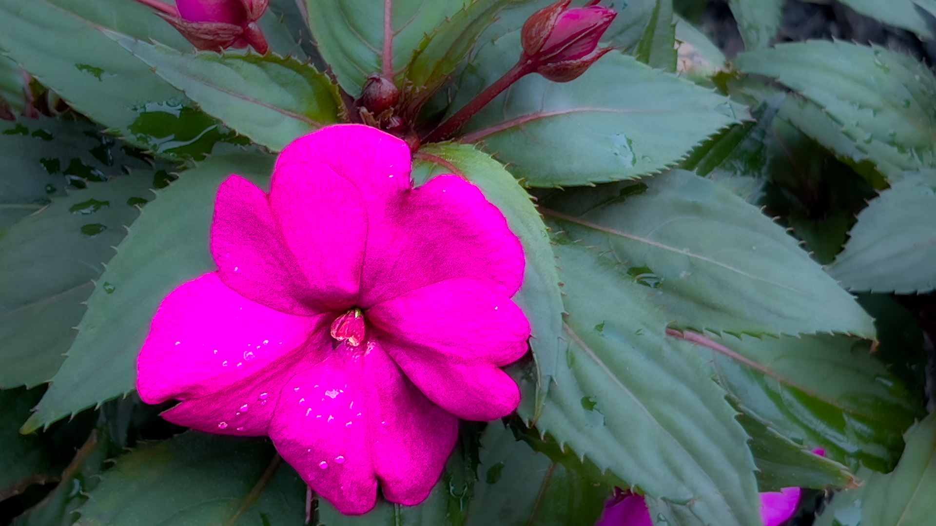 7/26/24-Harrison West, Columbus