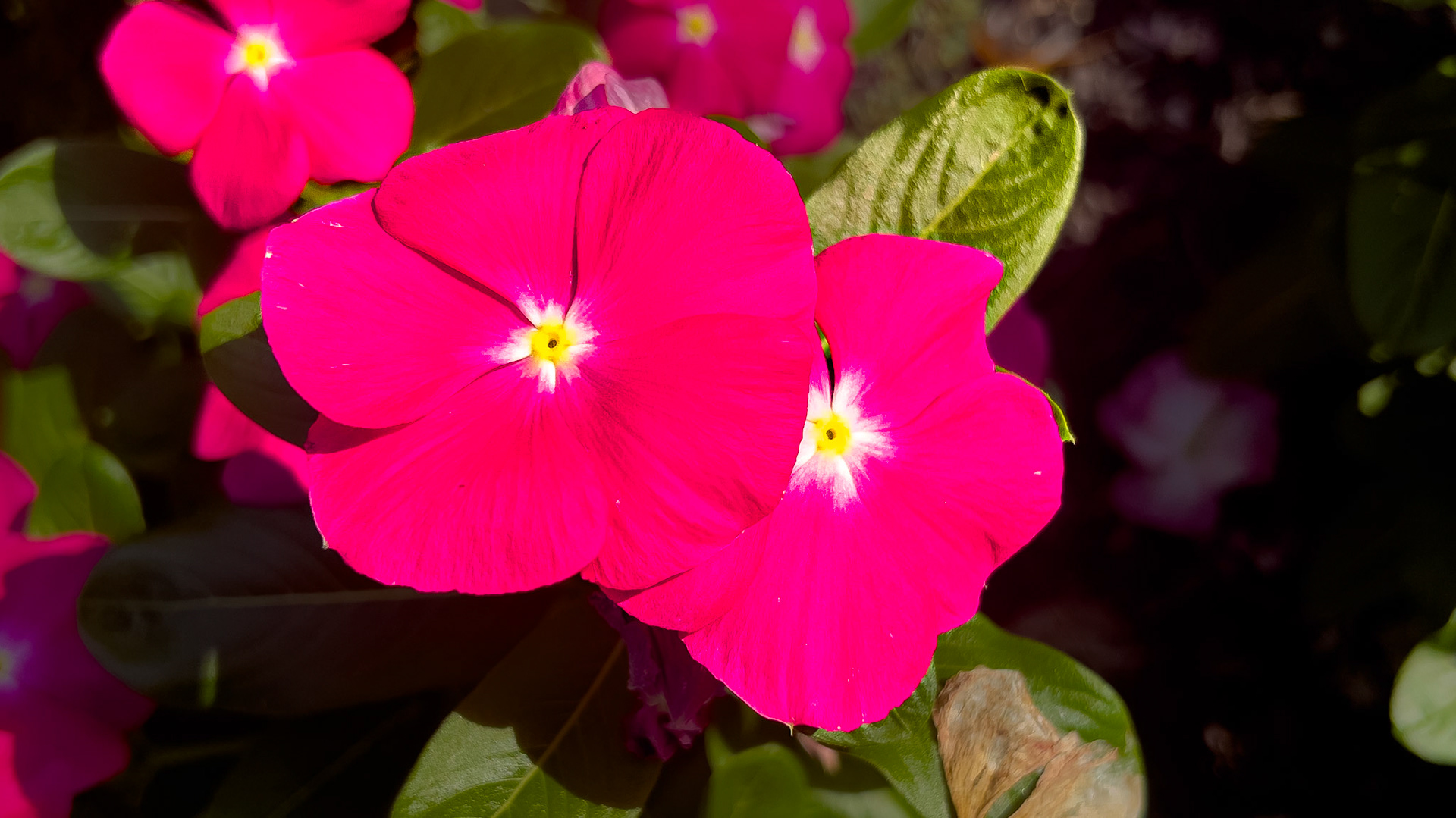 08/7/2025-⁨Harrison West-⁨Columbus⁩, ⁨Ohio⁩, ⁨United States⁩