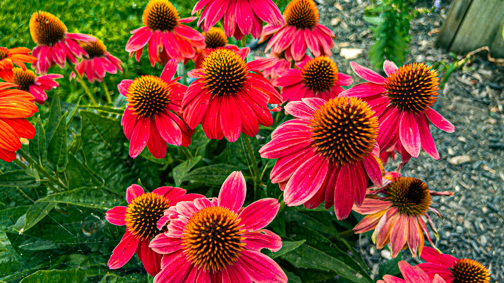 8/1/23-Harrison West-⁨Columbus⁩, ⁨Ohio⁩, ⁨United States⁩