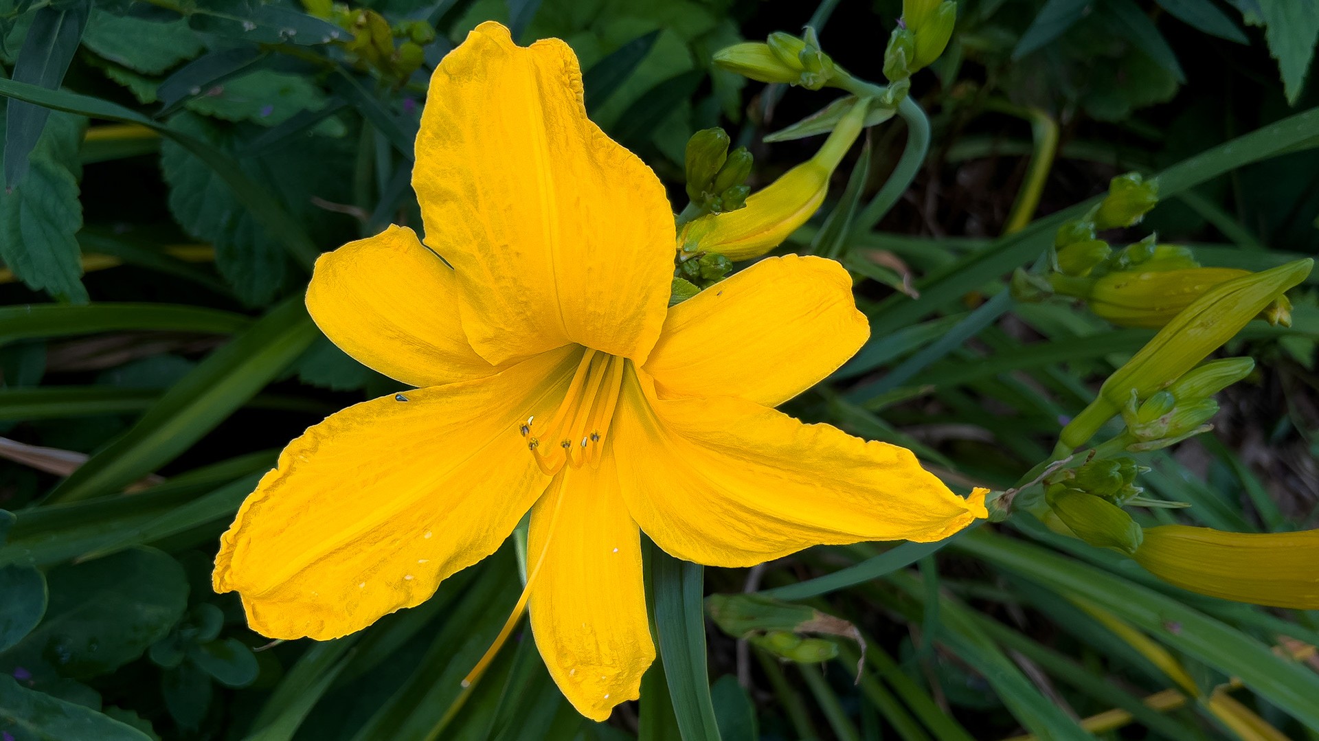 7/8/25-Victorian Village,  Columbus Ohio