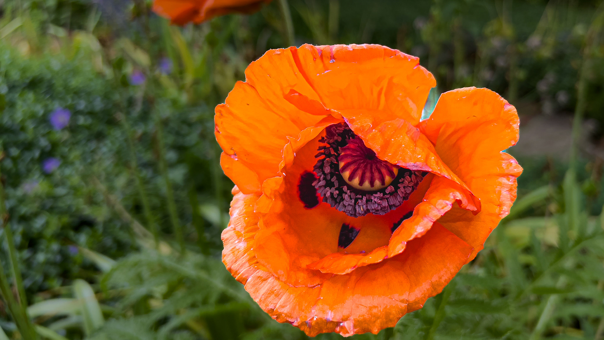 5/17/24-Harrison West-⁨Columbus⁩, ⁨Ohio⁩, ⁨United States⁩