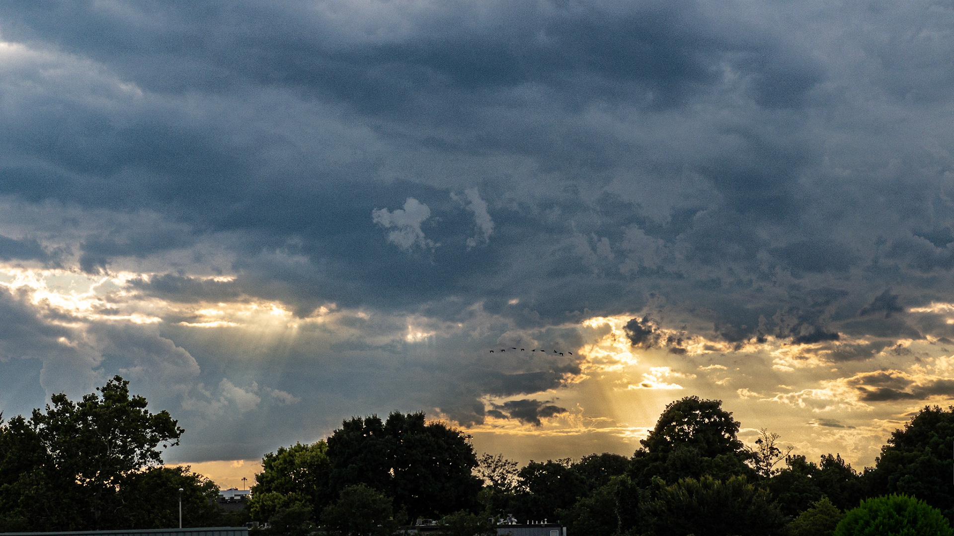 7/30/23 7:25:48 PM