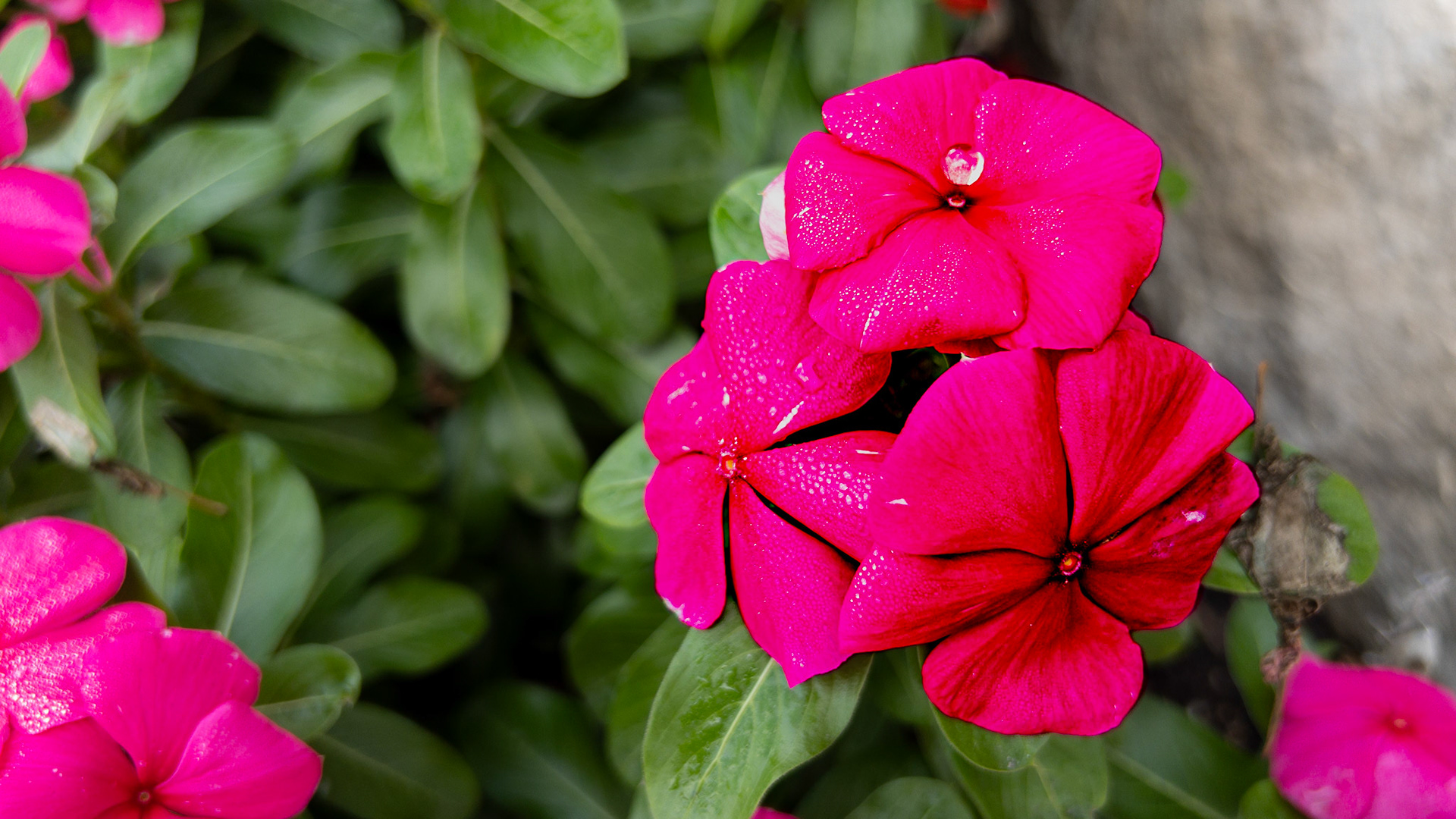 9/13/23-Harrison West-⁨Columbus⁩, ⁨Ohio⁩, ⁨United States⁩