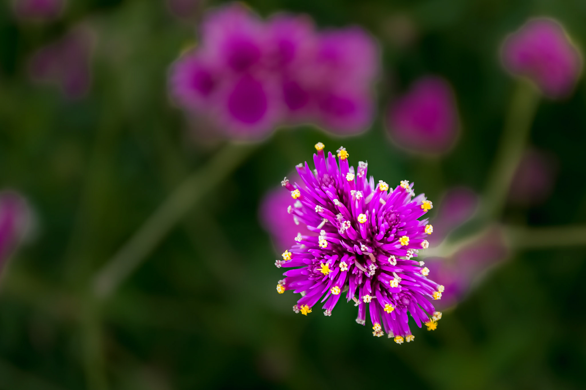 Mohonk Mountain House