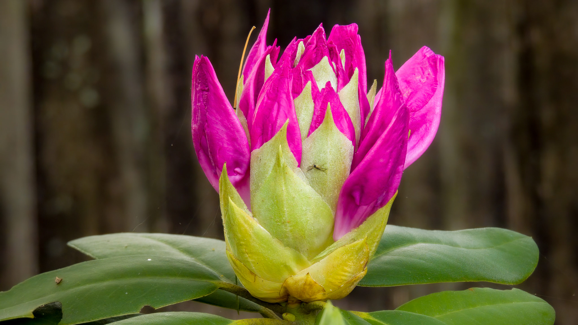 5/16/22-⁨Dover⁩, ⁨Susquehanna Valley⁩, ⁨United States⁩
