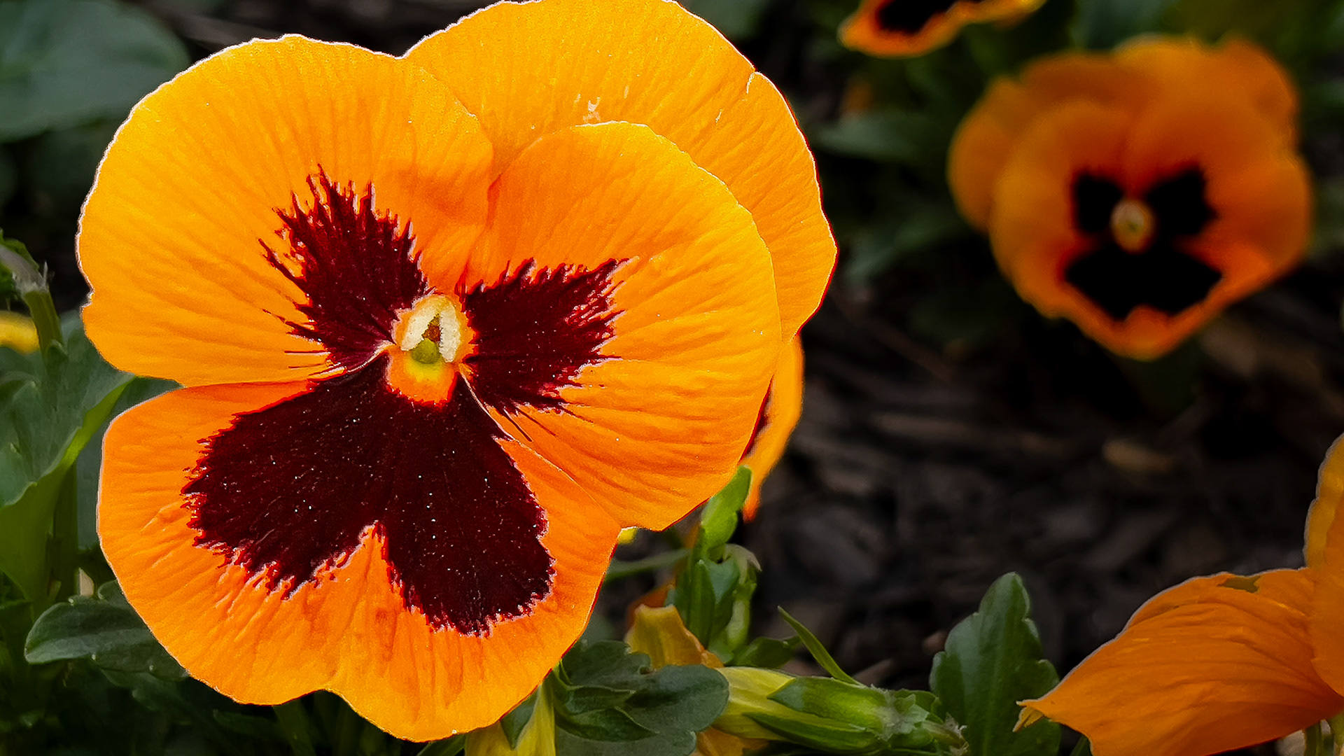 4/15/23-⁨Harrison West-⁨Columbus⁩, ⁨Ohio⁩, ⁨United States⁩