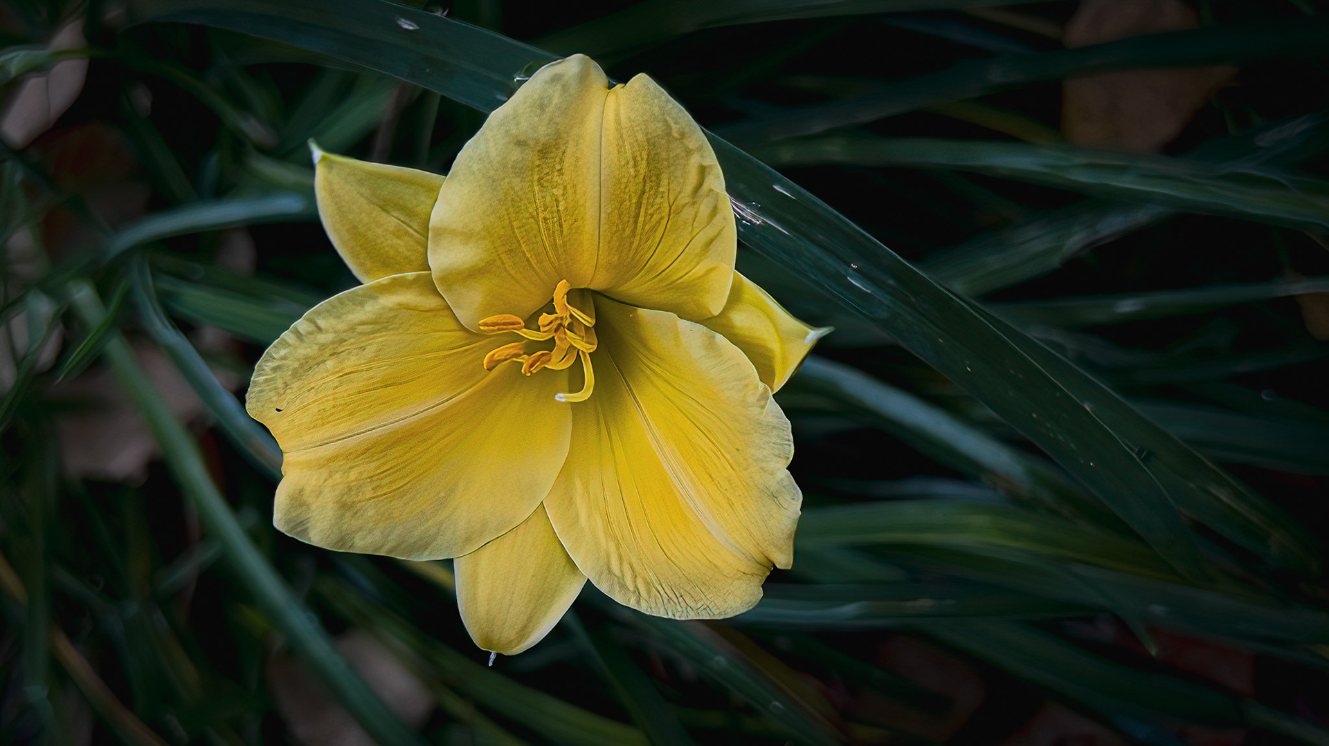 10/12/22-⁨Dover⁩, ⁨Susquehanna Valley⁩, ⁨United States⁩