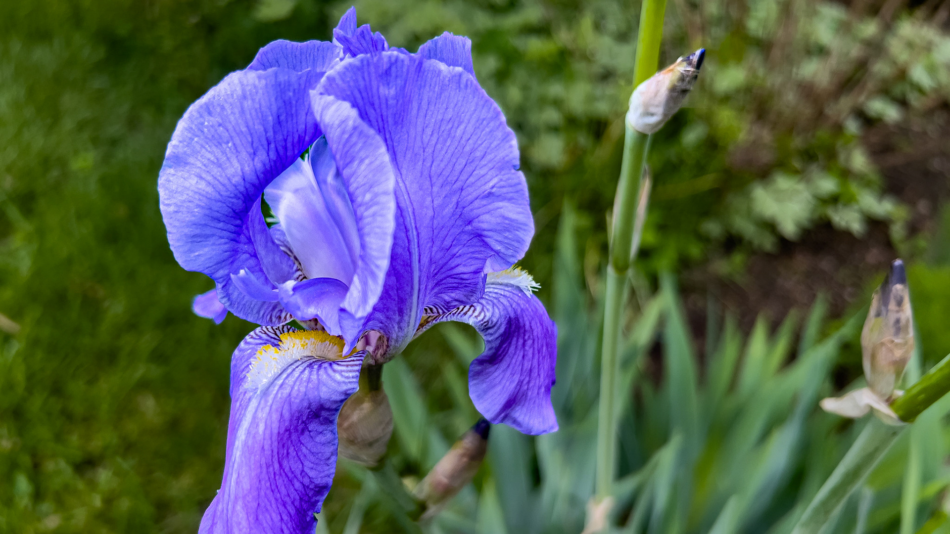 5/5/25-Victorian Village,  Columbus Ohio