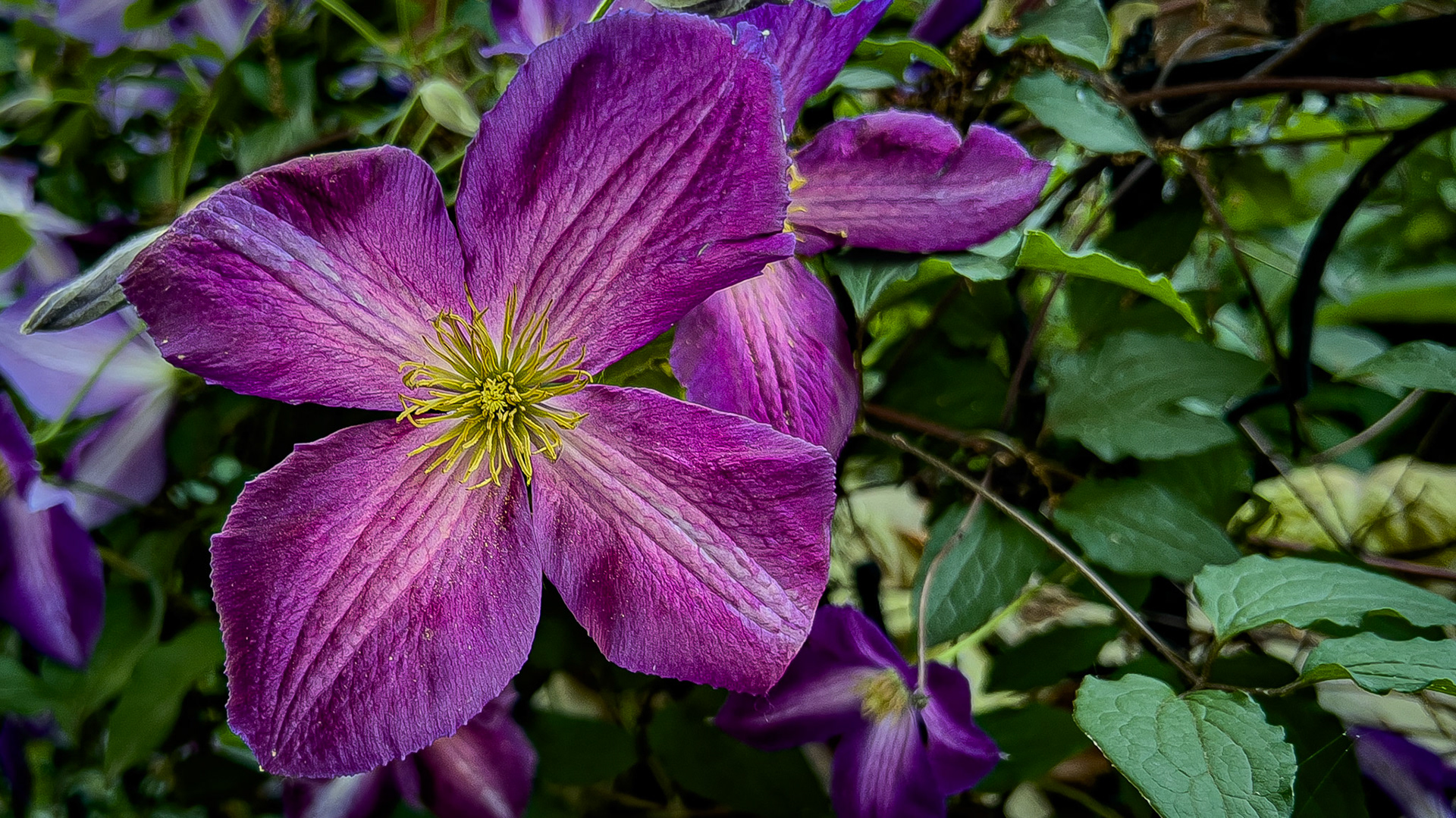 5/19/24-Harrison West-⁨Columbus⁩, ⁨Ohio⁩, ⁨United States⁩