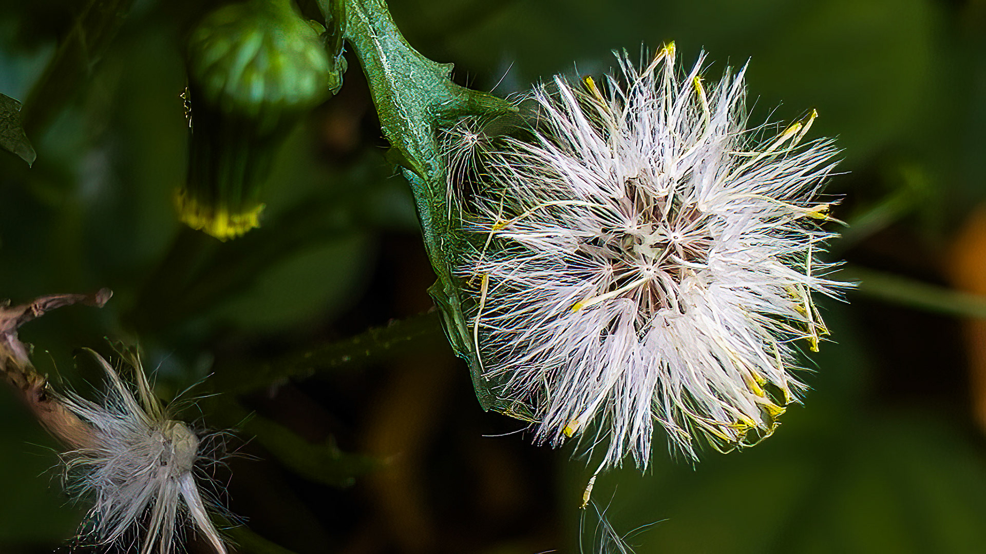 10/12/22-⁨Dover⁩, ⁨Susquehanna Valley⁩, ⁨United States⁩