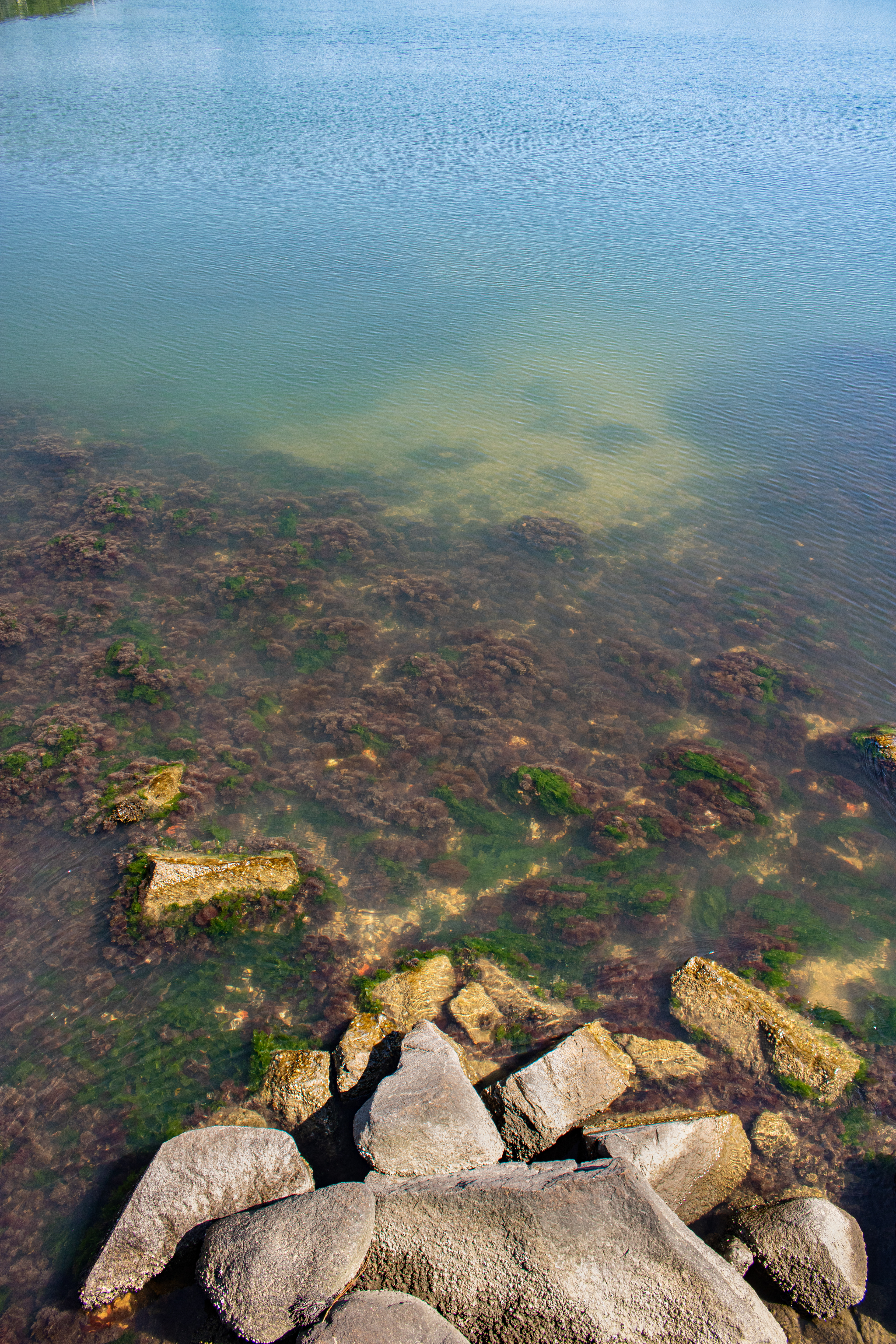 Cape Cod, MA