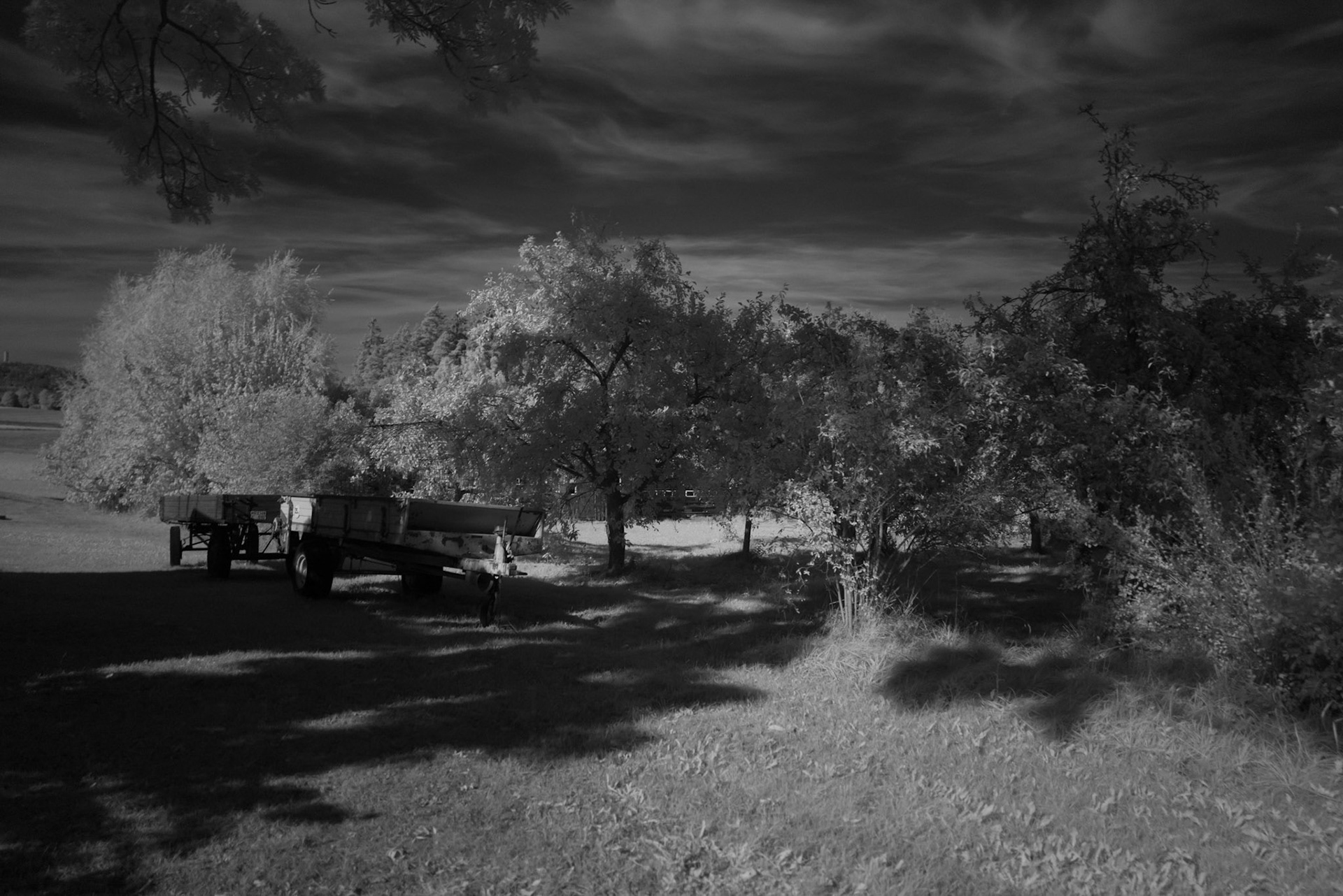 Heidelheim Infrarotfilter R72
