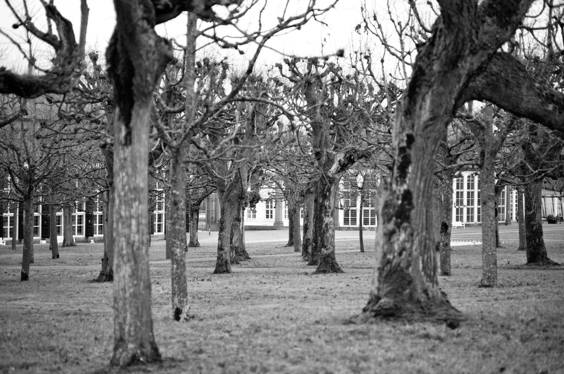 Schloss Seehof mit Leica M11 und Voigtländer 75mm unterwegs
