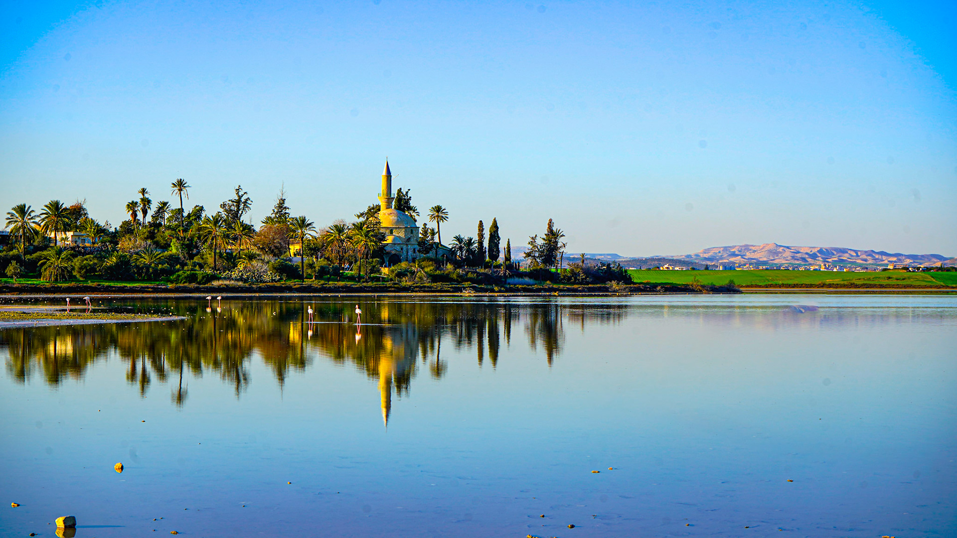 A place to watch Flamingos