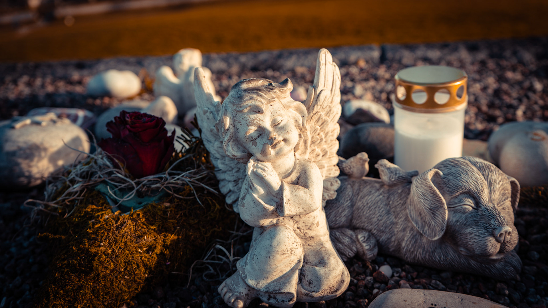 The Sleeping beauties