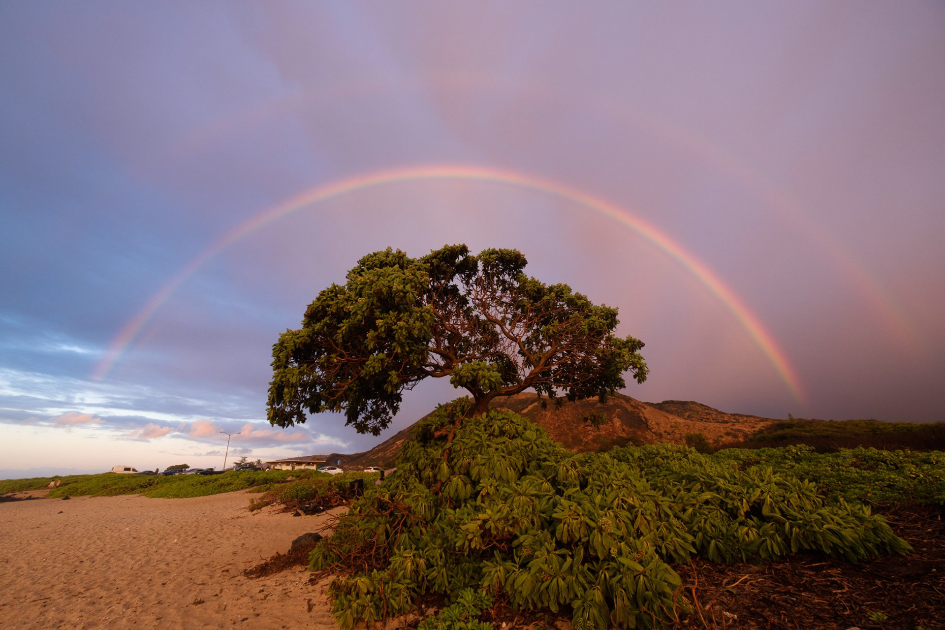 Sandy Beach Sunrise