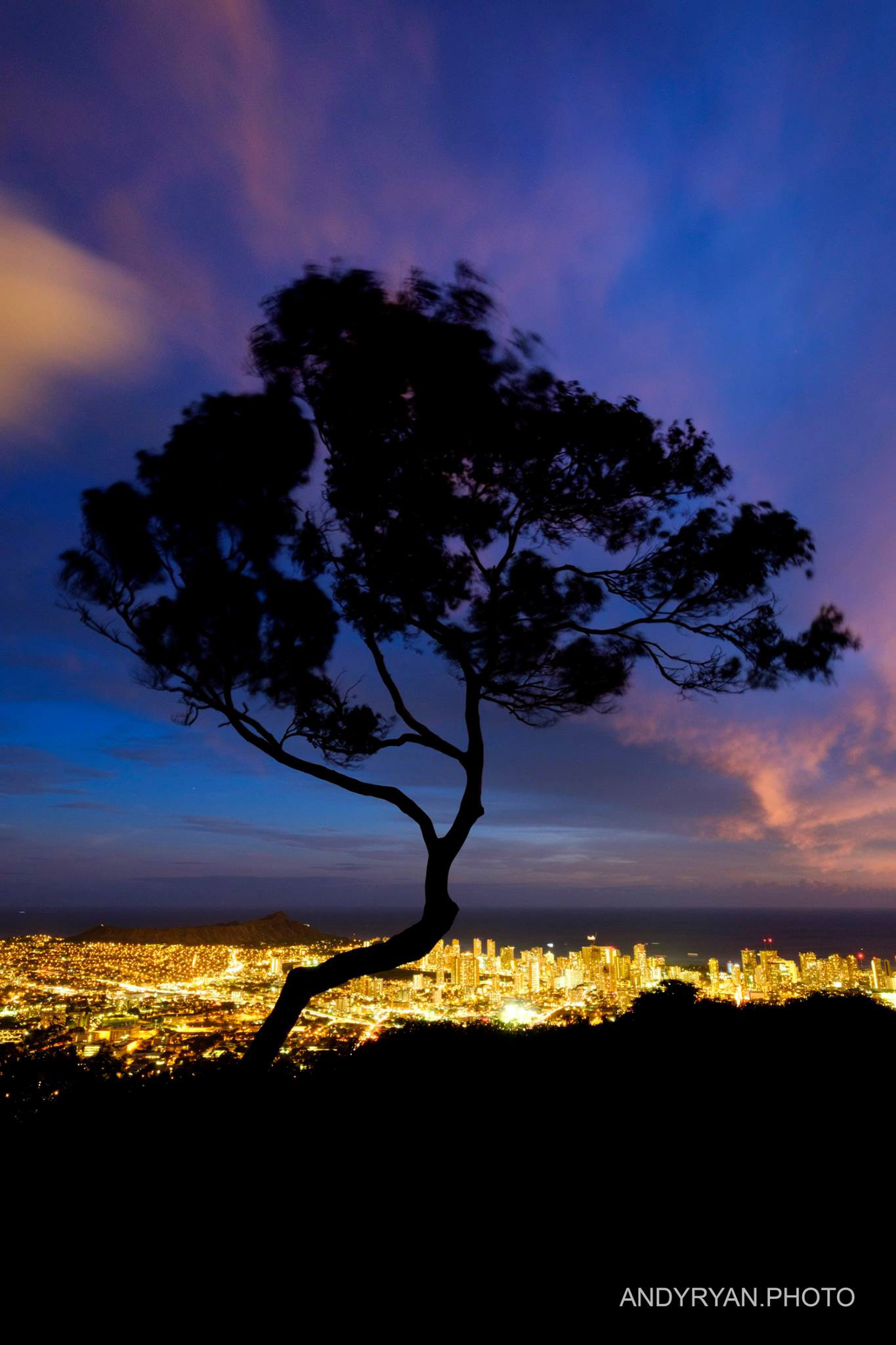 Nightscape Above Honolulu