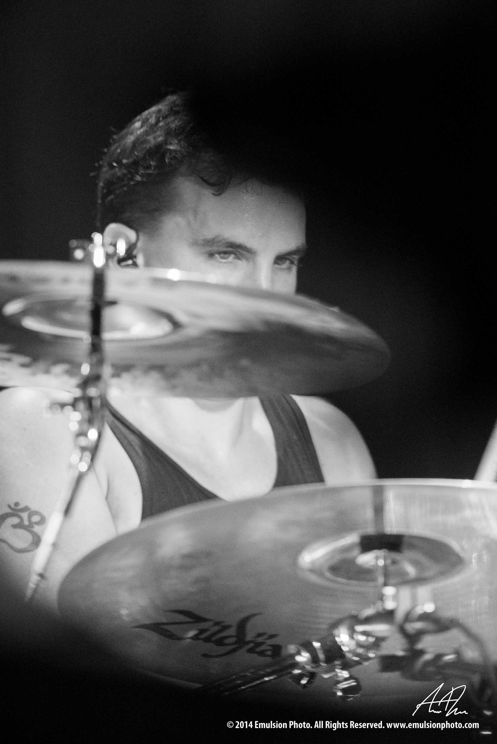 JOLLY, Netherlands, 2014