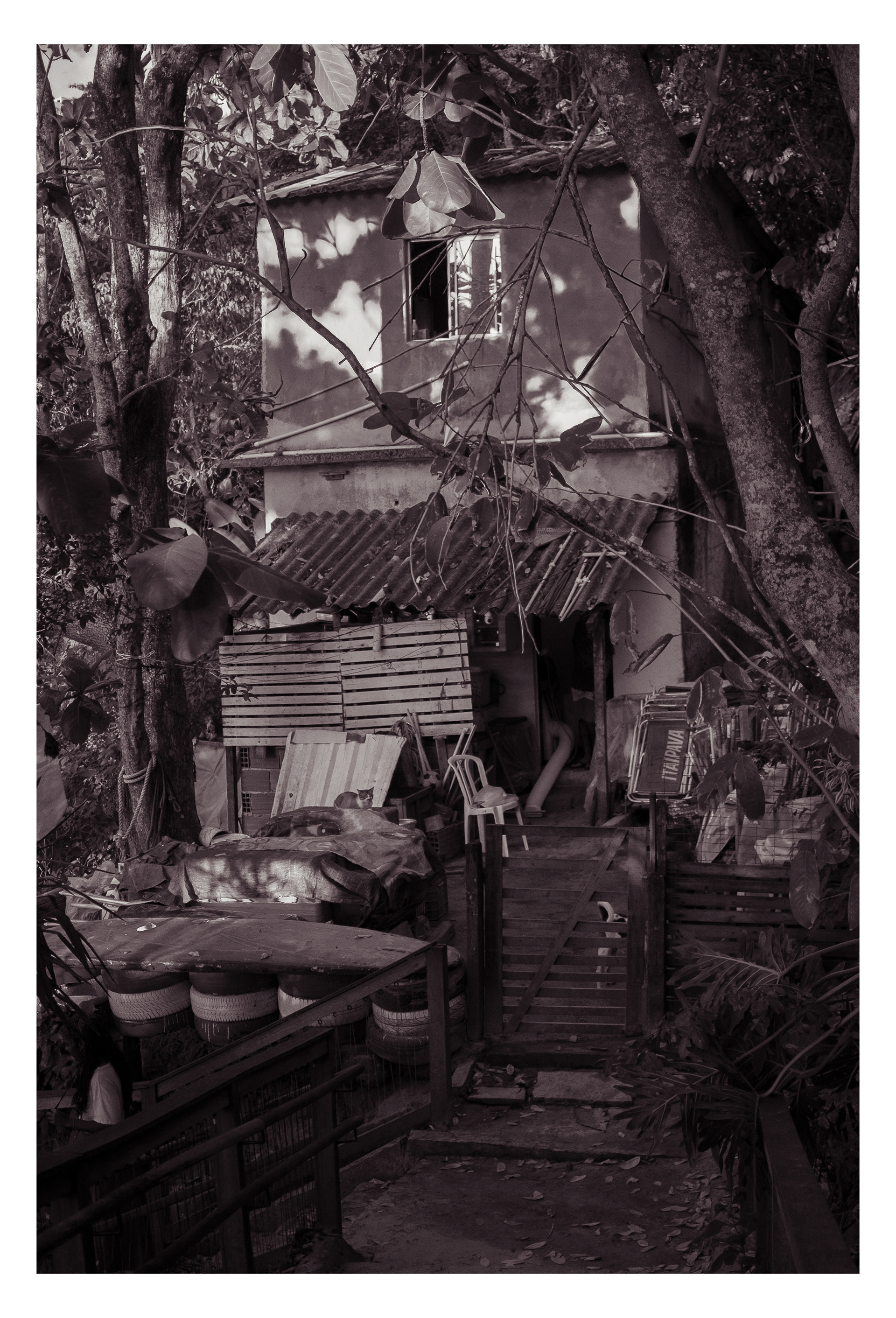 La cabane dans les arbres 