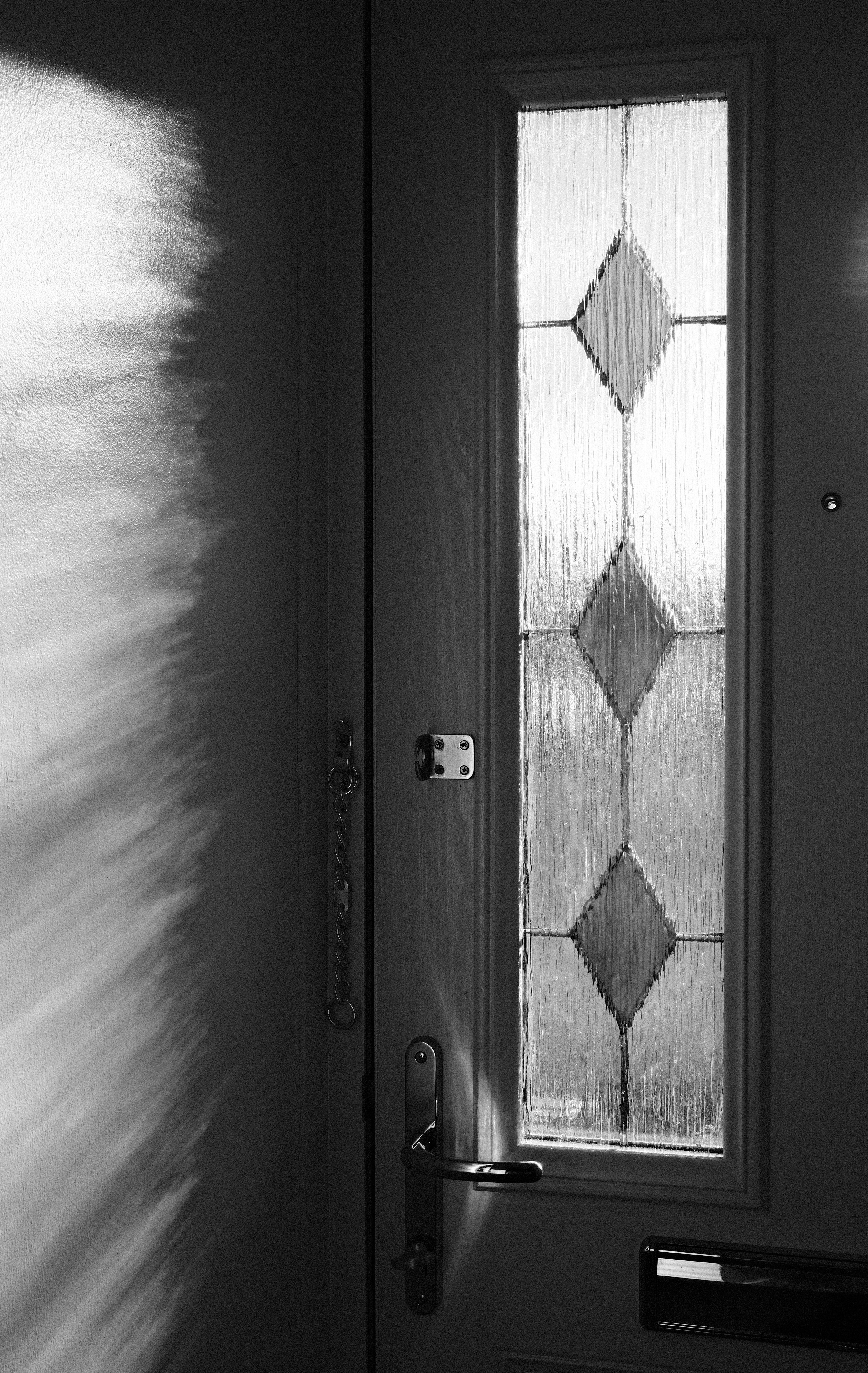 Fujifilm X100VI 1/350 f/7.1