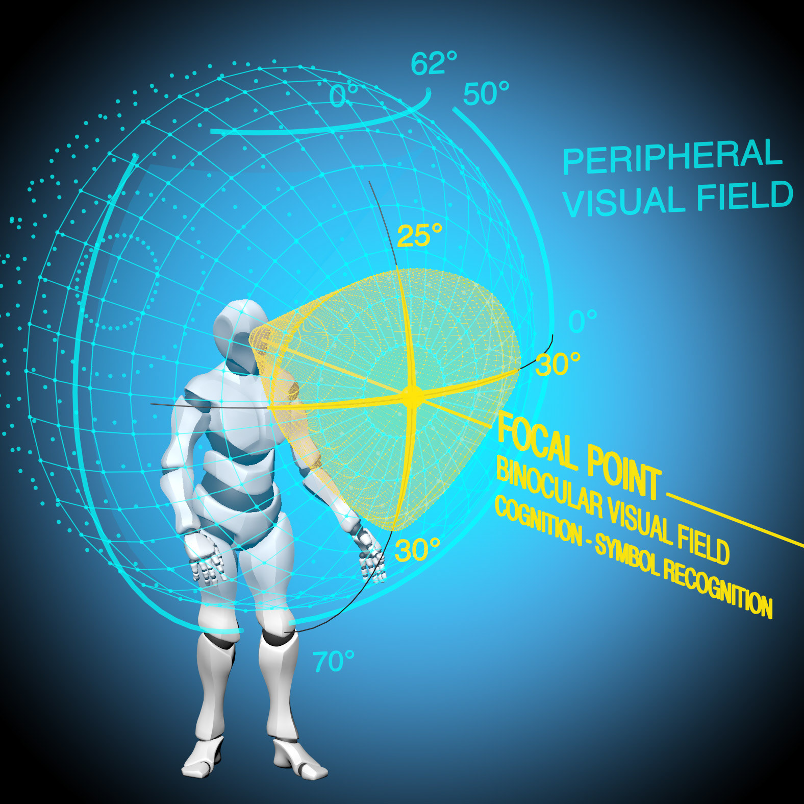 A model I created of the human visual field. This is one of my favorite projects as I learned so much about human perception that has crept into my personal work.