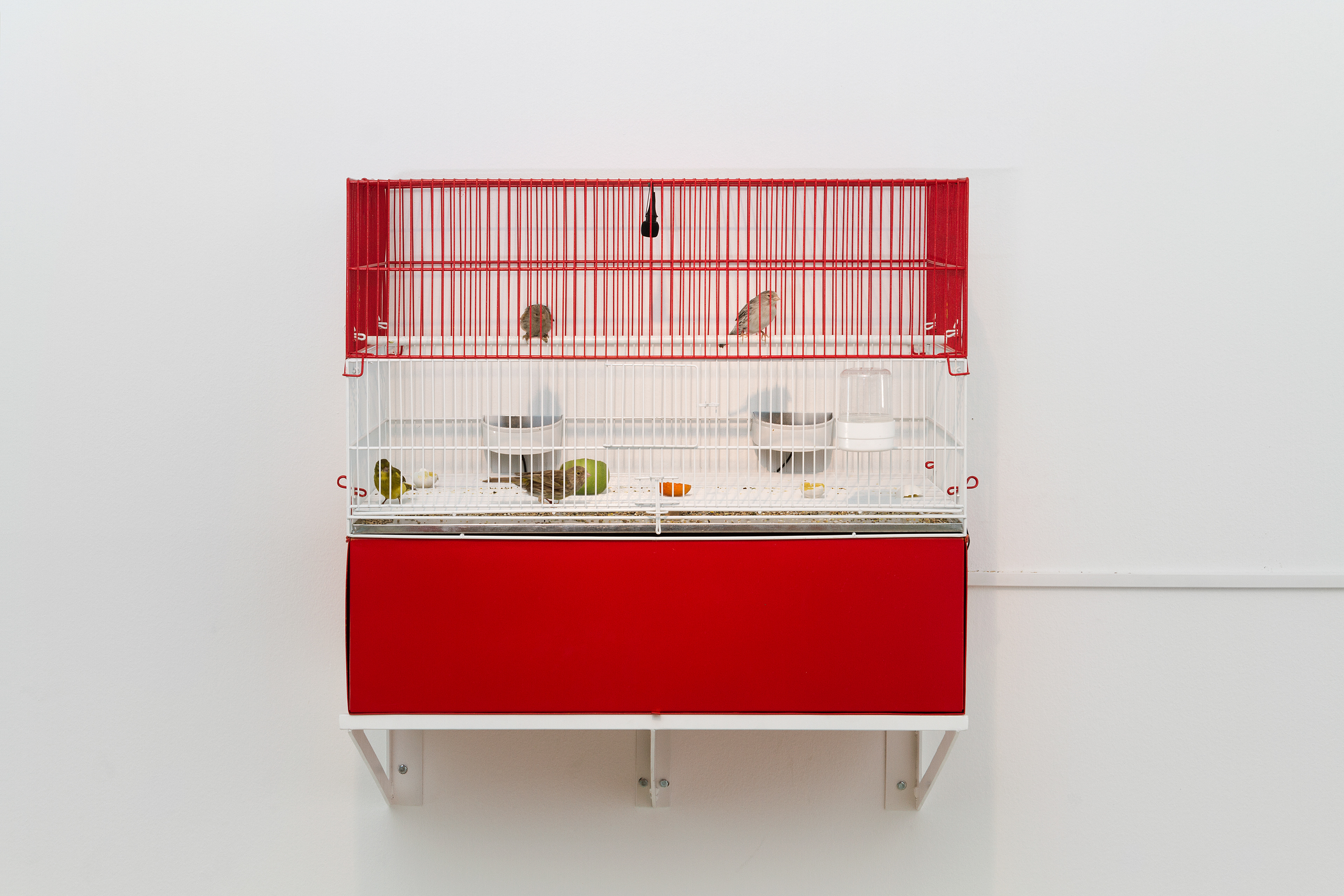 Resonancias Mudas. Torre de acero, doce megáfonos (amplificadores ambientales) jaula de aves, 4 canarios, amplificador, mixer, micrófonos. Dimensiones variables.