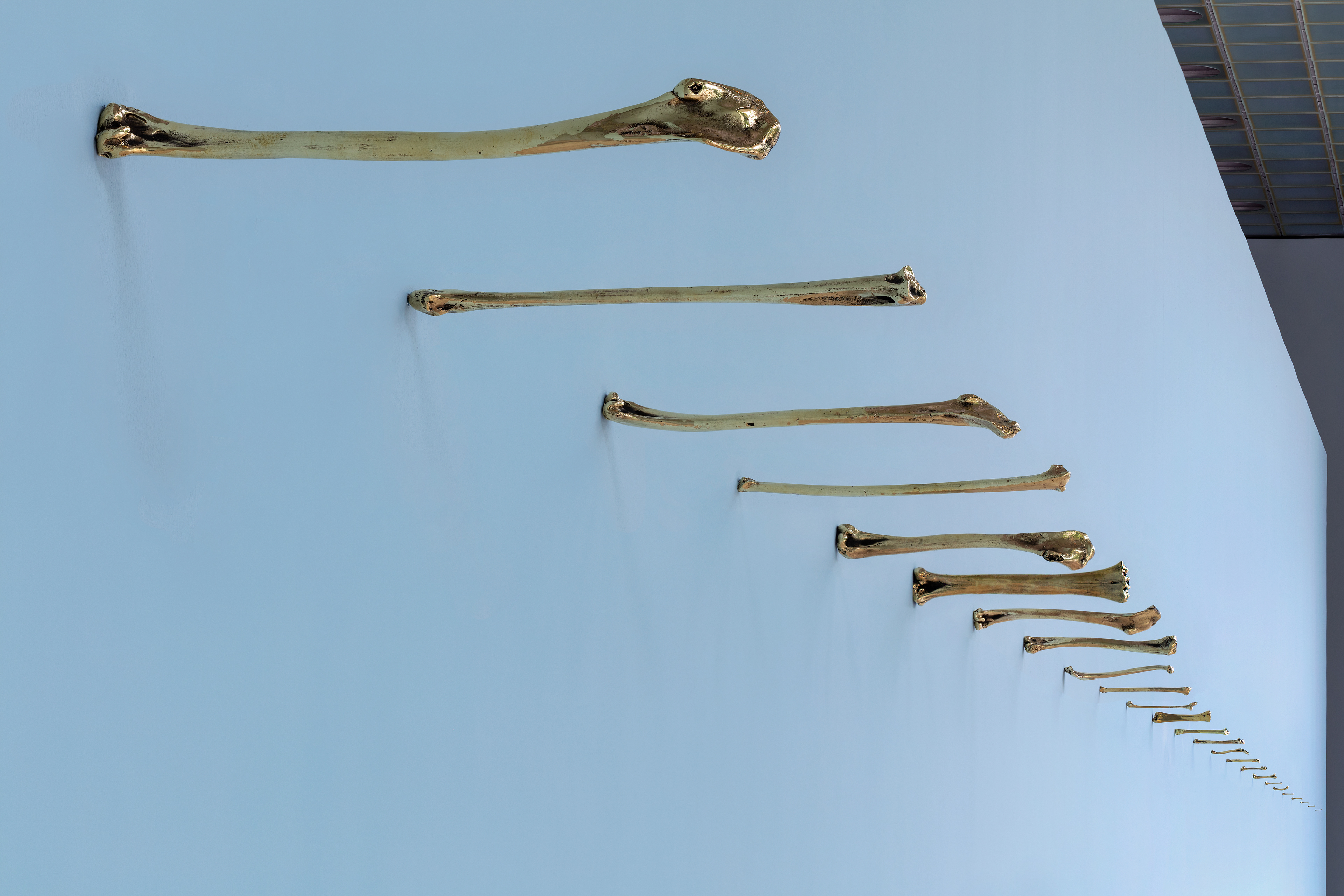 El vacío de mi cuerpo, 2023. Huesos de aves recogidos en las costas del Archipiélago de Chiloé. Molde y fundición en bronce pulido tipo espejo. 25 piezas, escala 1:1. Dimensiones variables / 18 x 0,5 metros aprox.