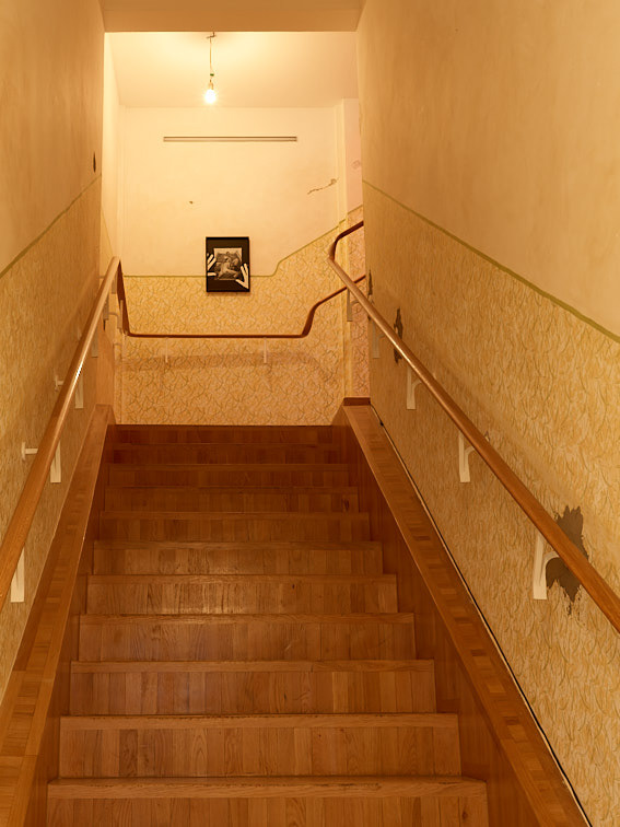 Sophie Thun - Stollgasse - Secession Wien