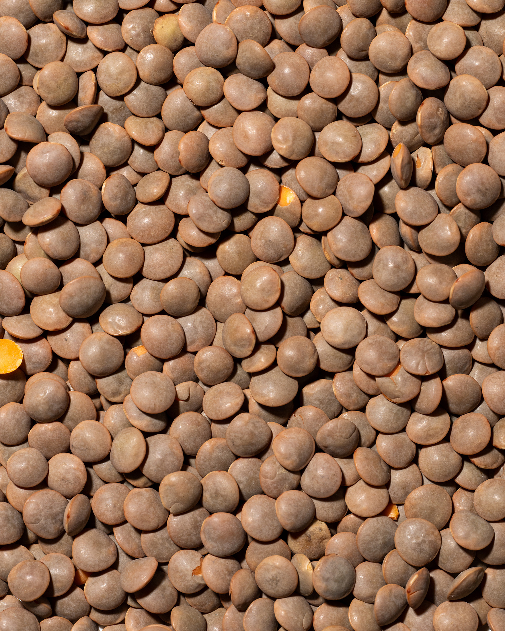 Frutta Secca Sorrentino - Lenticchie Rosse - Texture