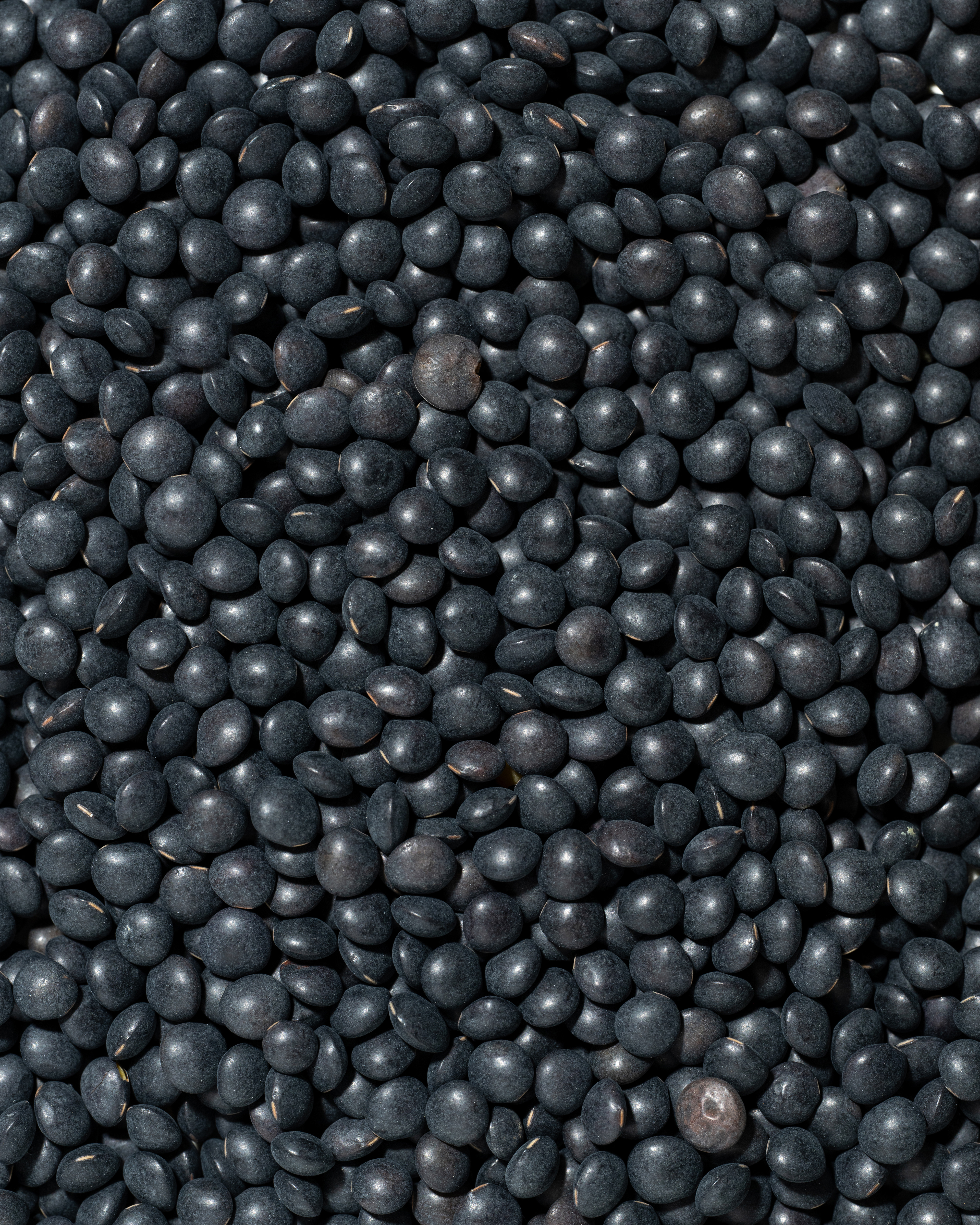 Frutta Secca Sorrentino - Lenticchie Nere - Texture