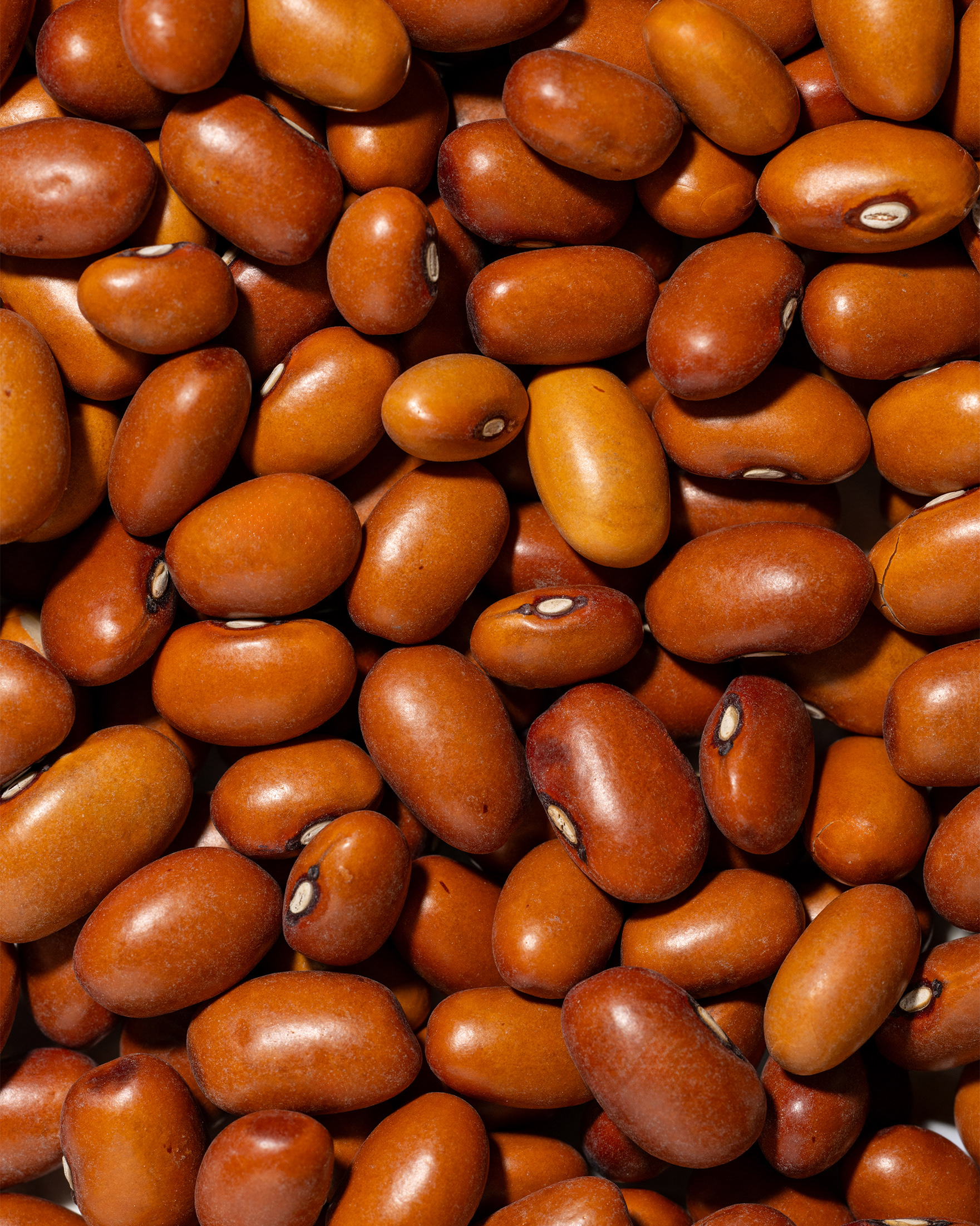 Frutta Secca Sorrentino - Fagioli Bruni - Texture