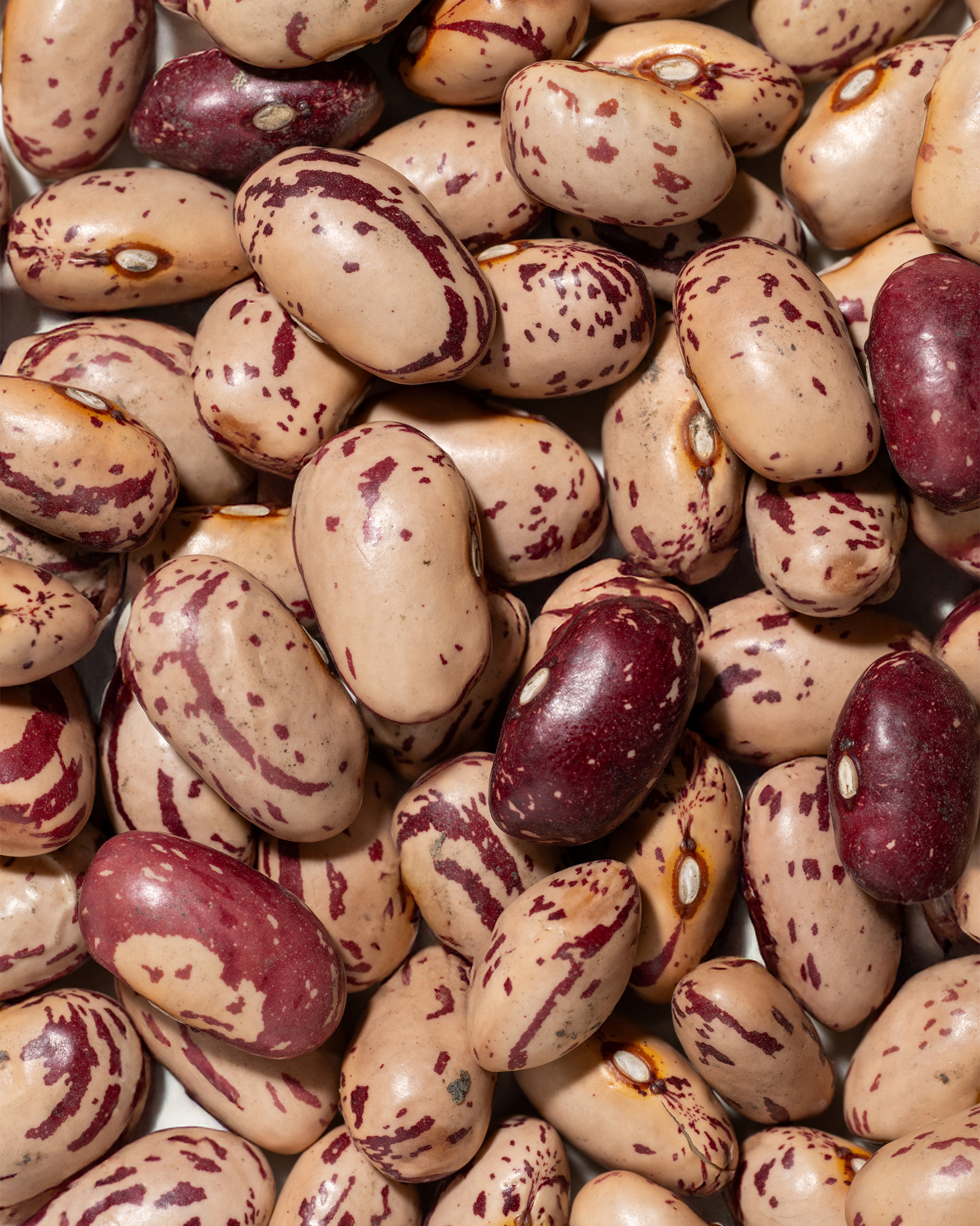 Frutta Secca Sorrentino - Fagioli Borlotti - Texture